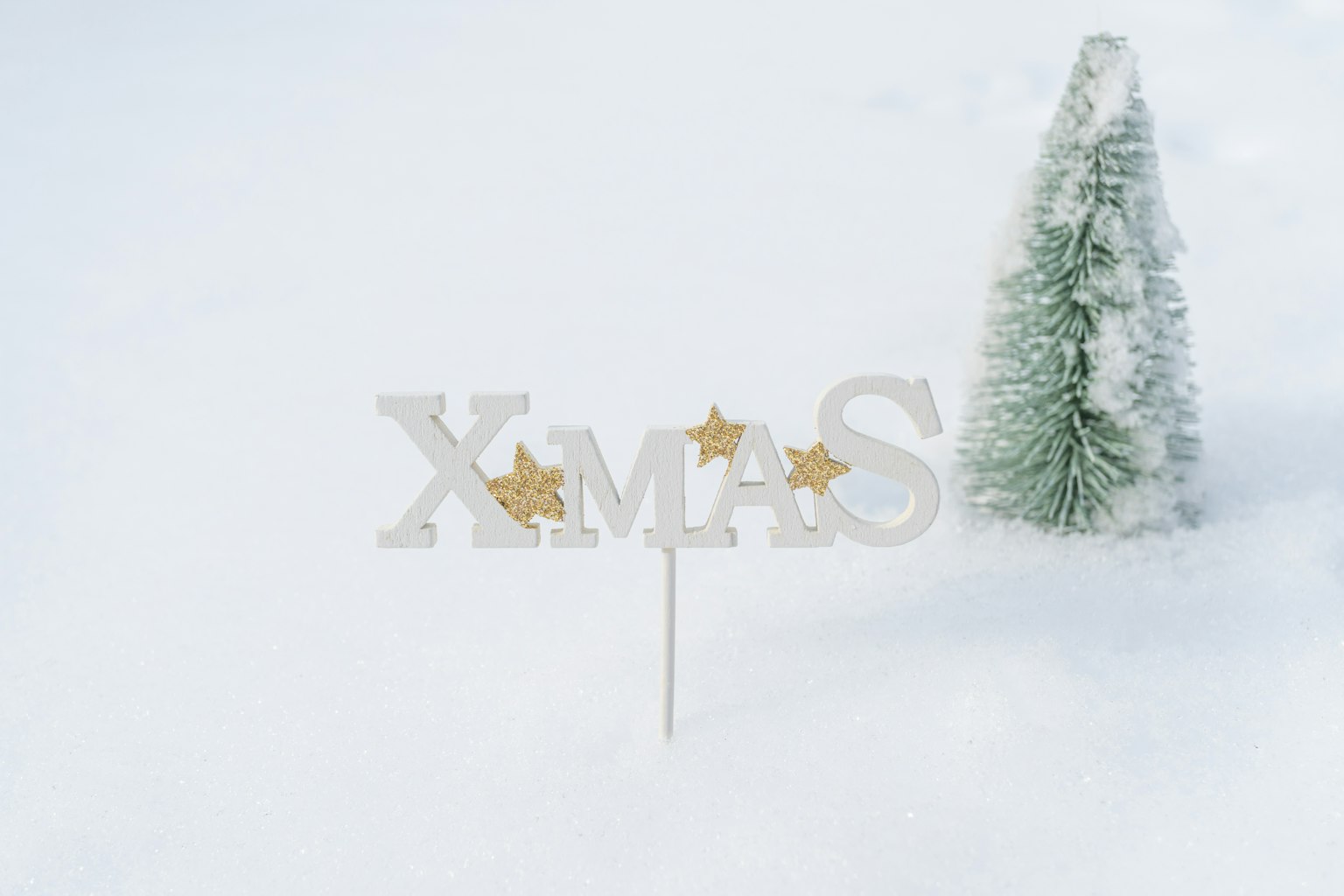 雪中XMAS標誌和小樹