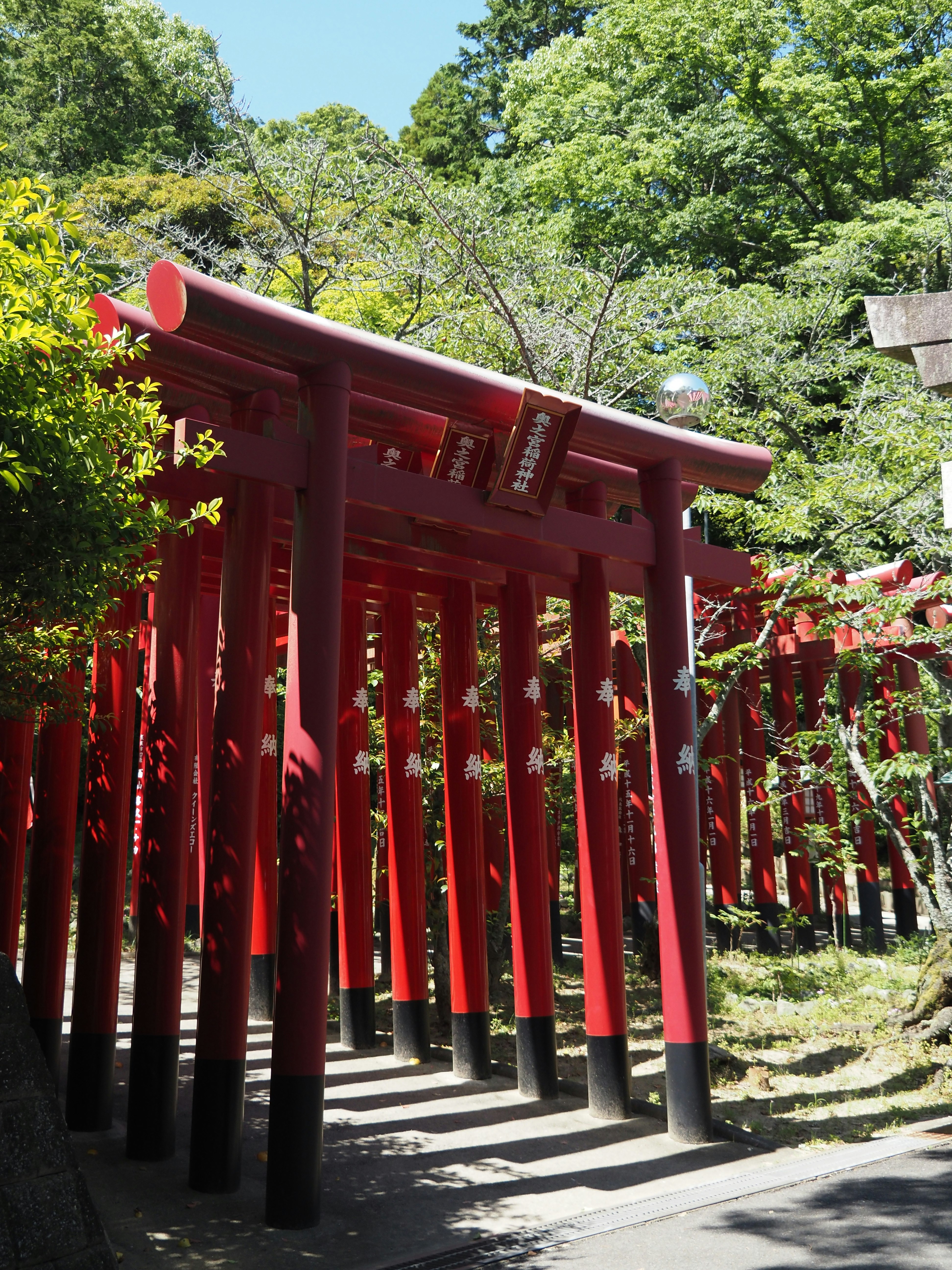 赤い鳥居が並ぶ稲荷神社の参道の景色