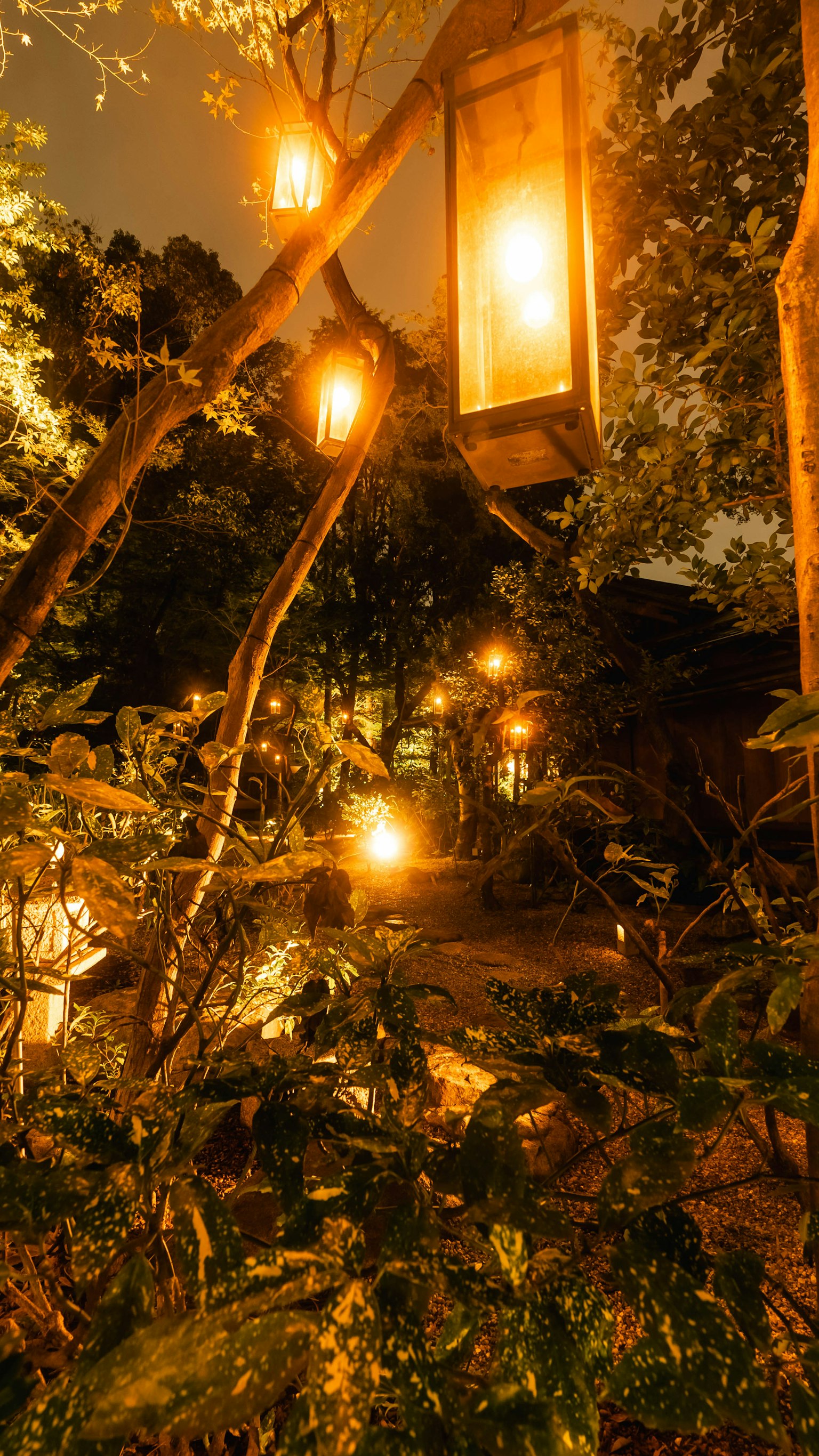 Una scena notturna serena con lanterne luminose tra la vegetazione lussureggiante