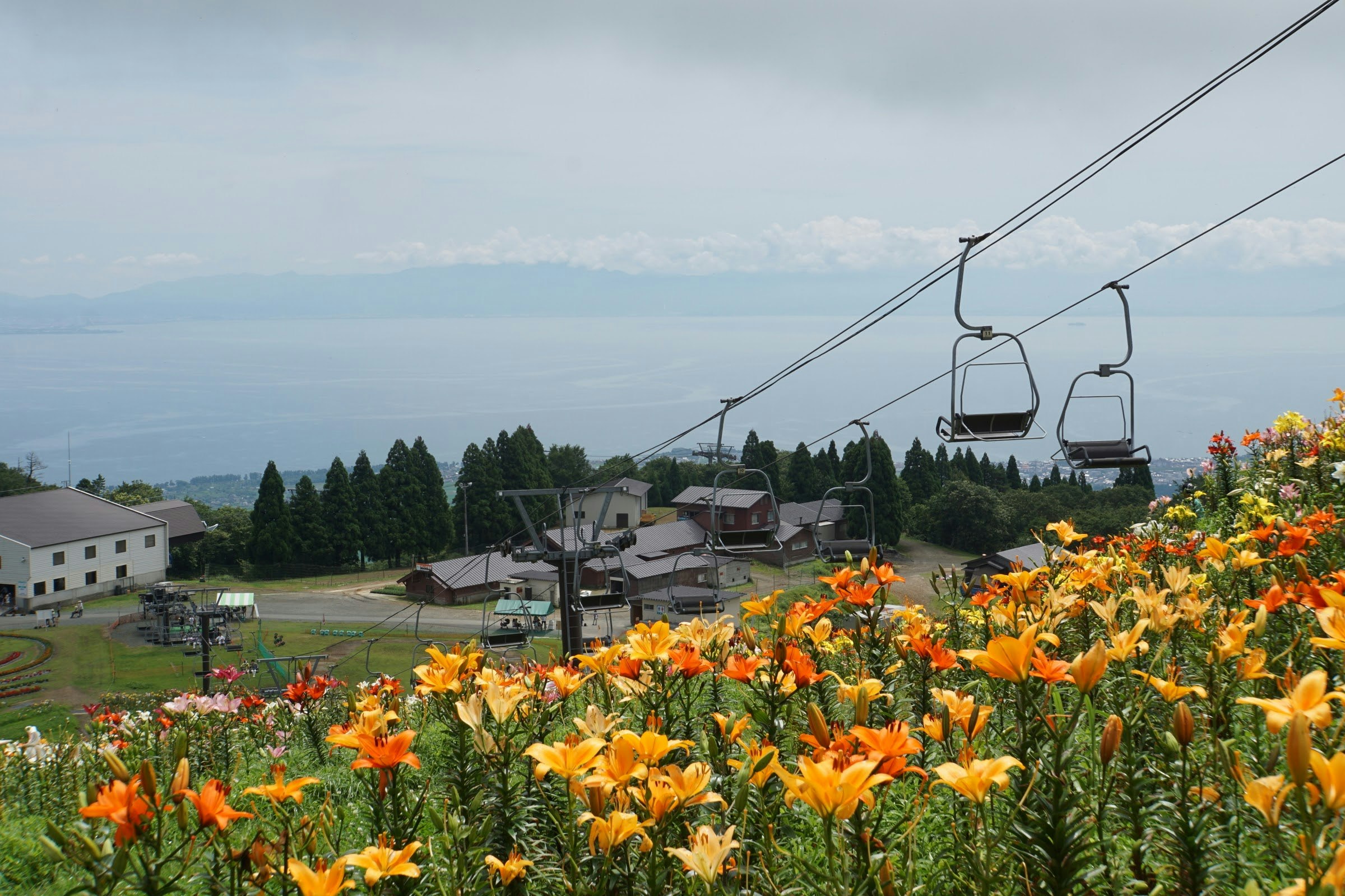 花畑とロープウェイのある山麓の景色