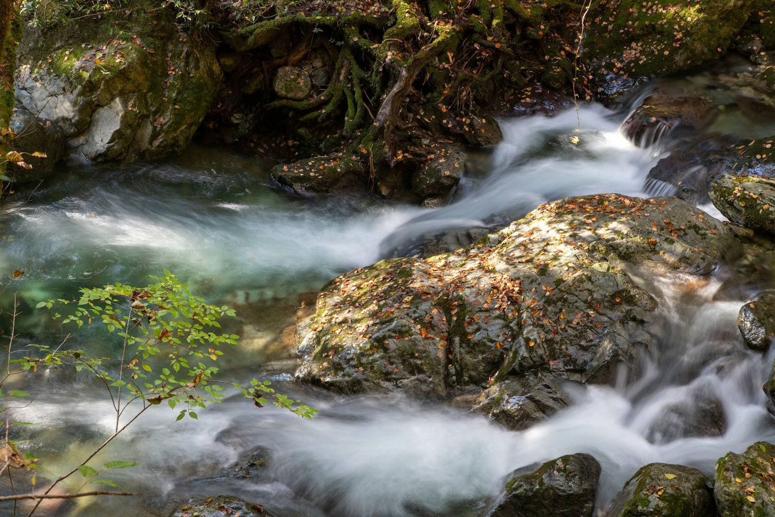 Corso d'acqua con rocce e vegetazione circostante