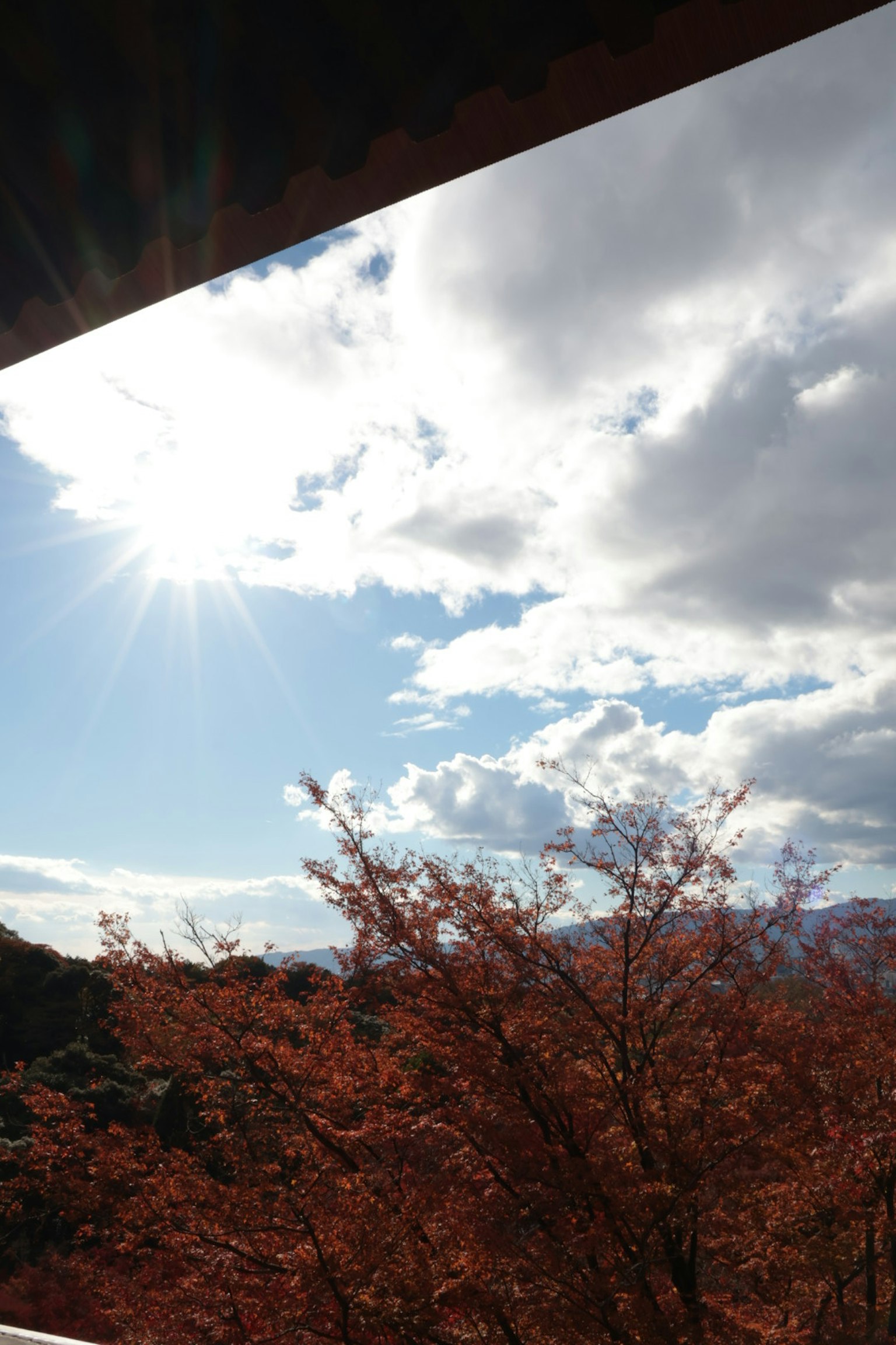 Lumière du soleil passant à travers les nuages sur le feuillage d'automne