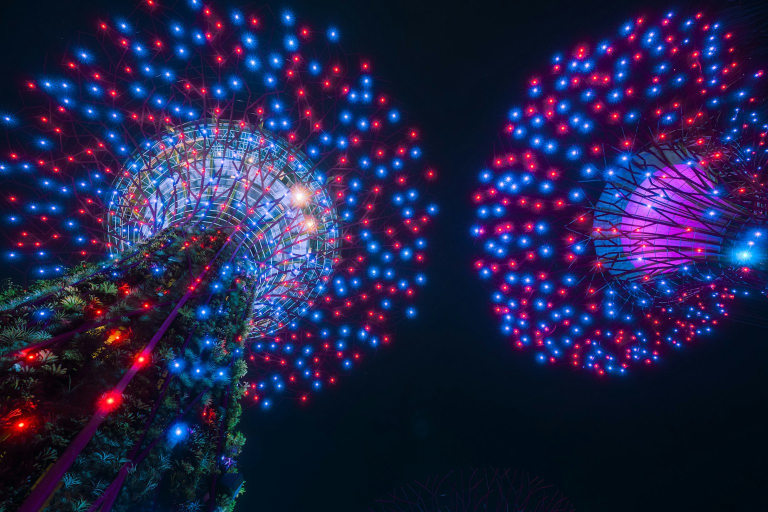夜空に輝くカラフルな光のツリーが並ぶ美しい景色