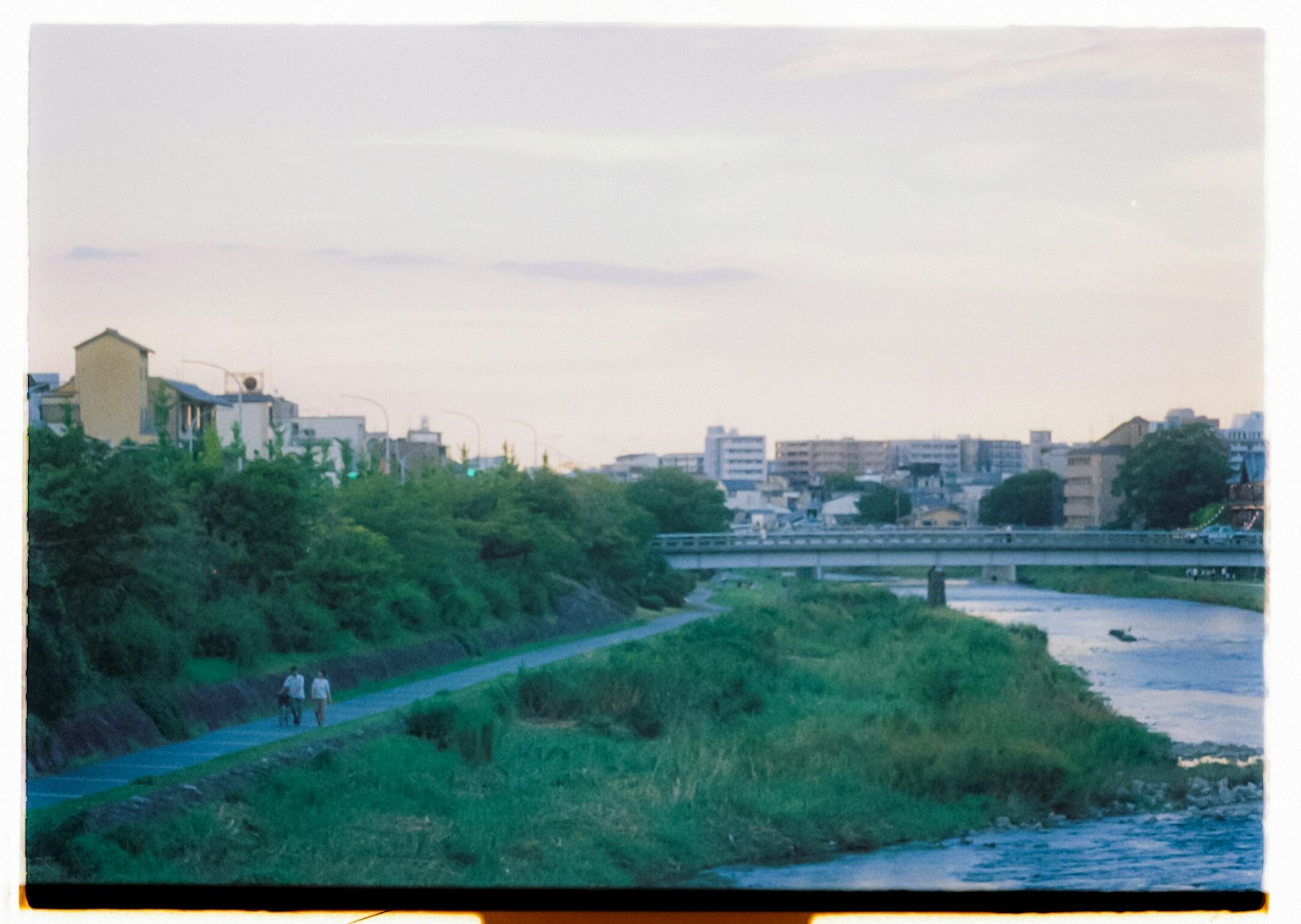Scenic view of a riverbank with lush greenery and buildings