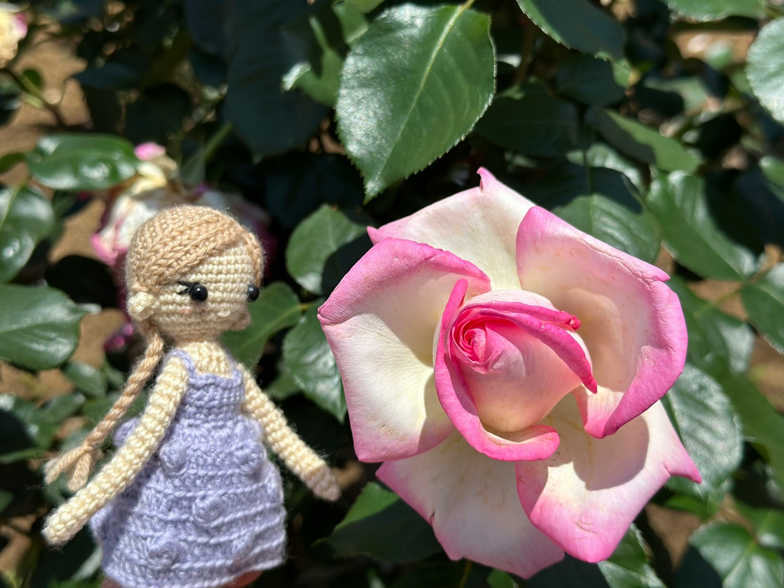 Una bambola all'uncinetto accanto a una rosa rosa