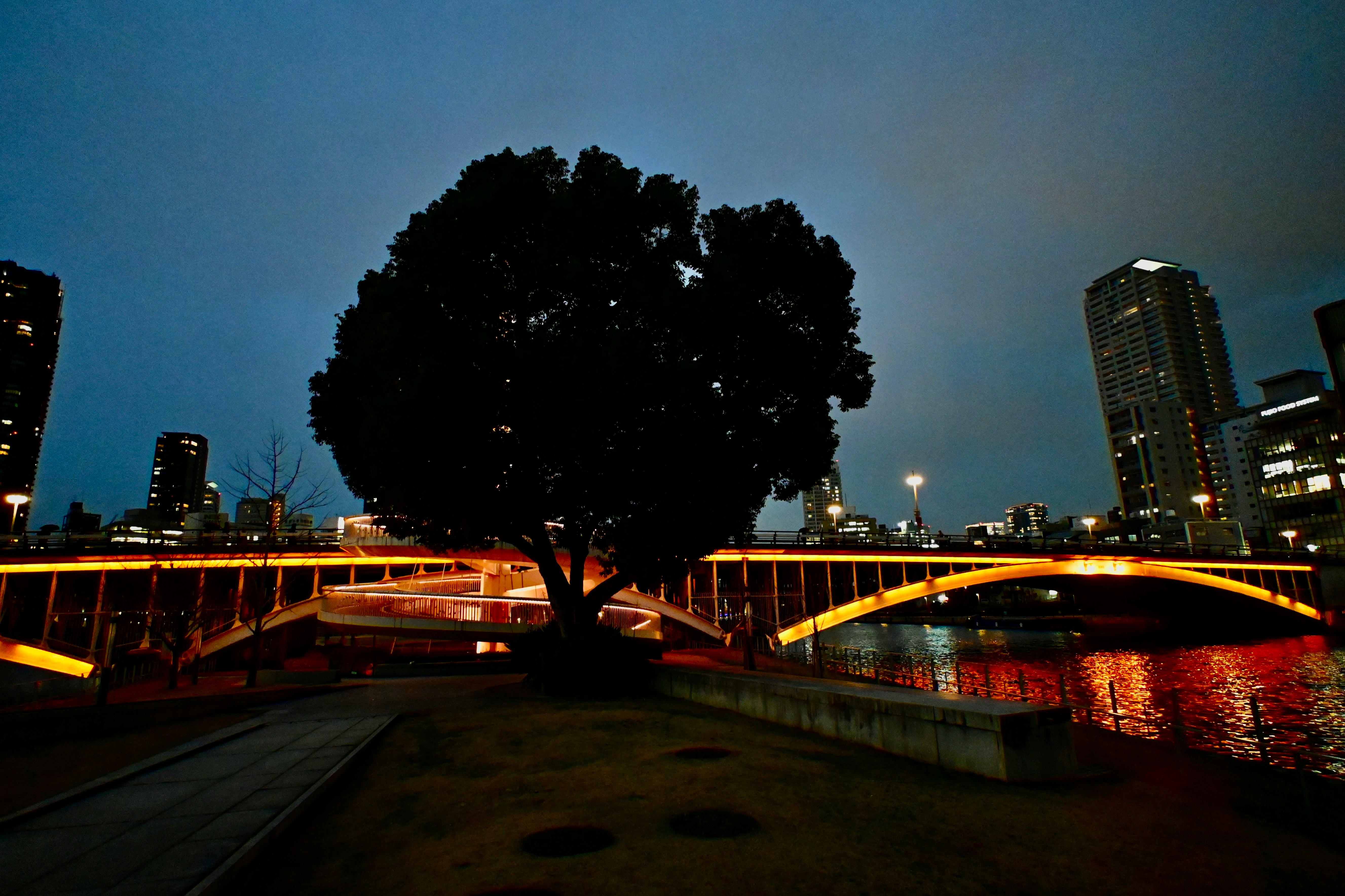 大阪の夜景と川沿いのライトアップされた橋の風景