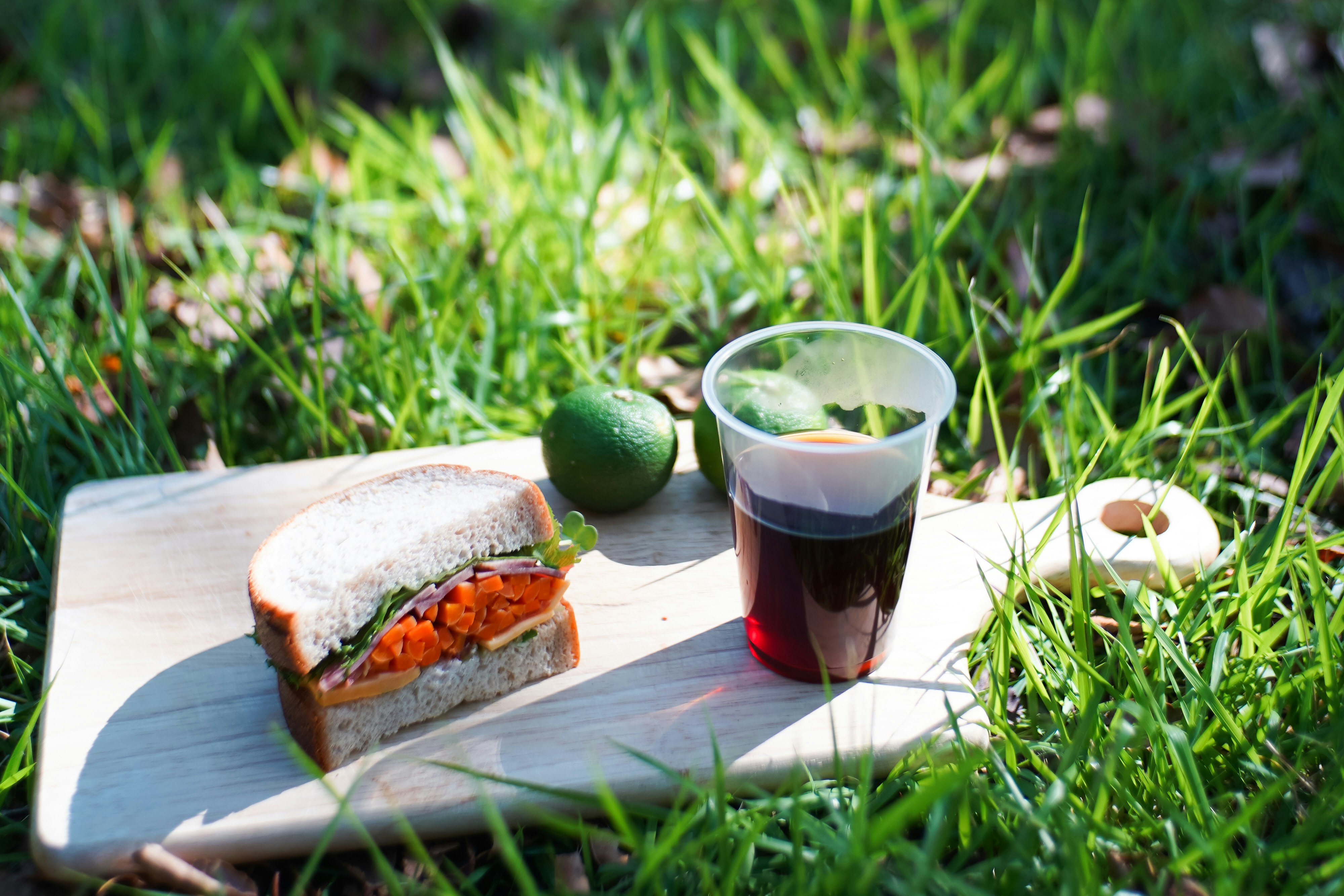 camp sandwich and drink on grass