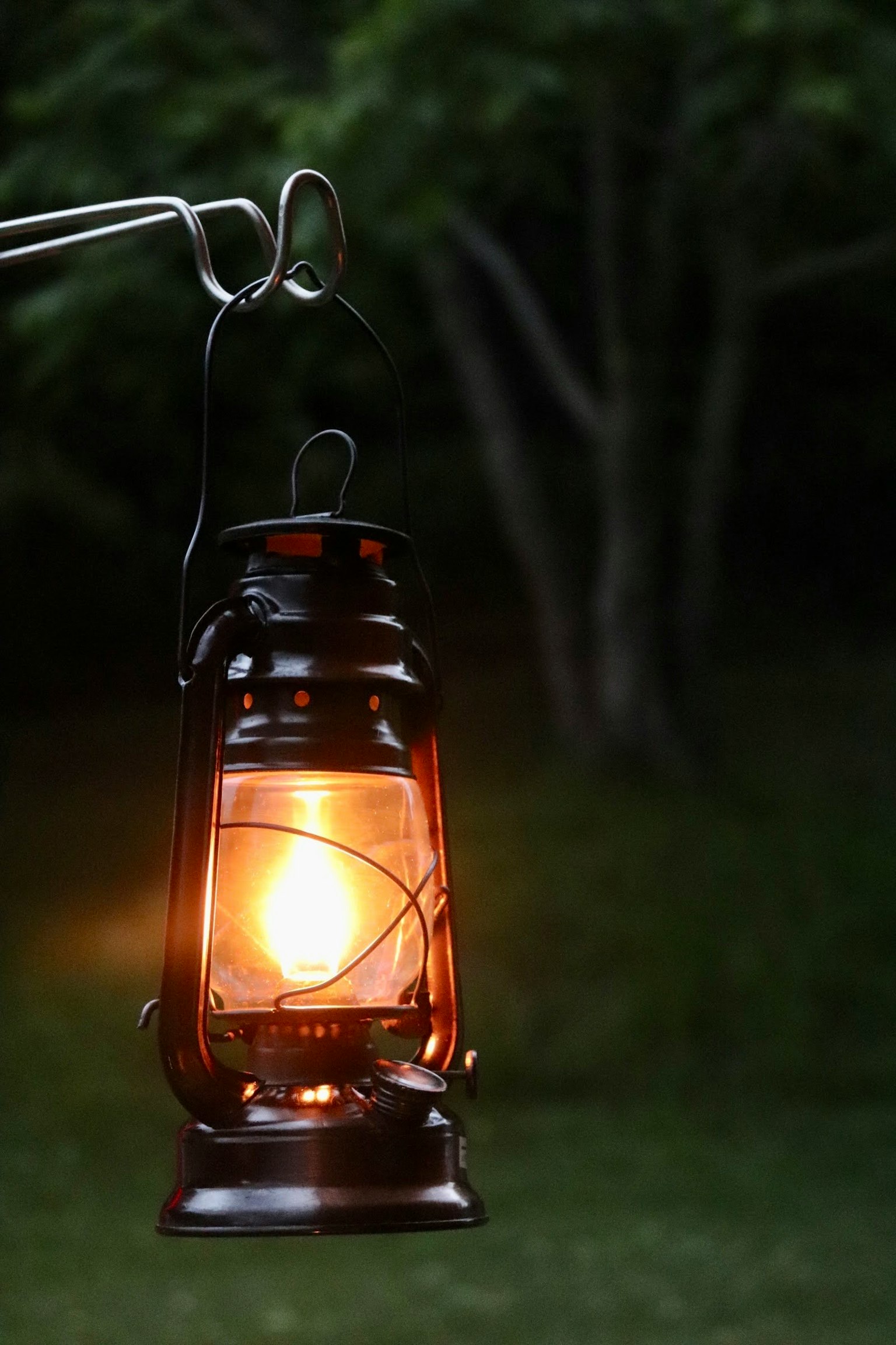 Một chiếc đèn cổ phát sáng trong hoàng hôn treo trước nền cây cối