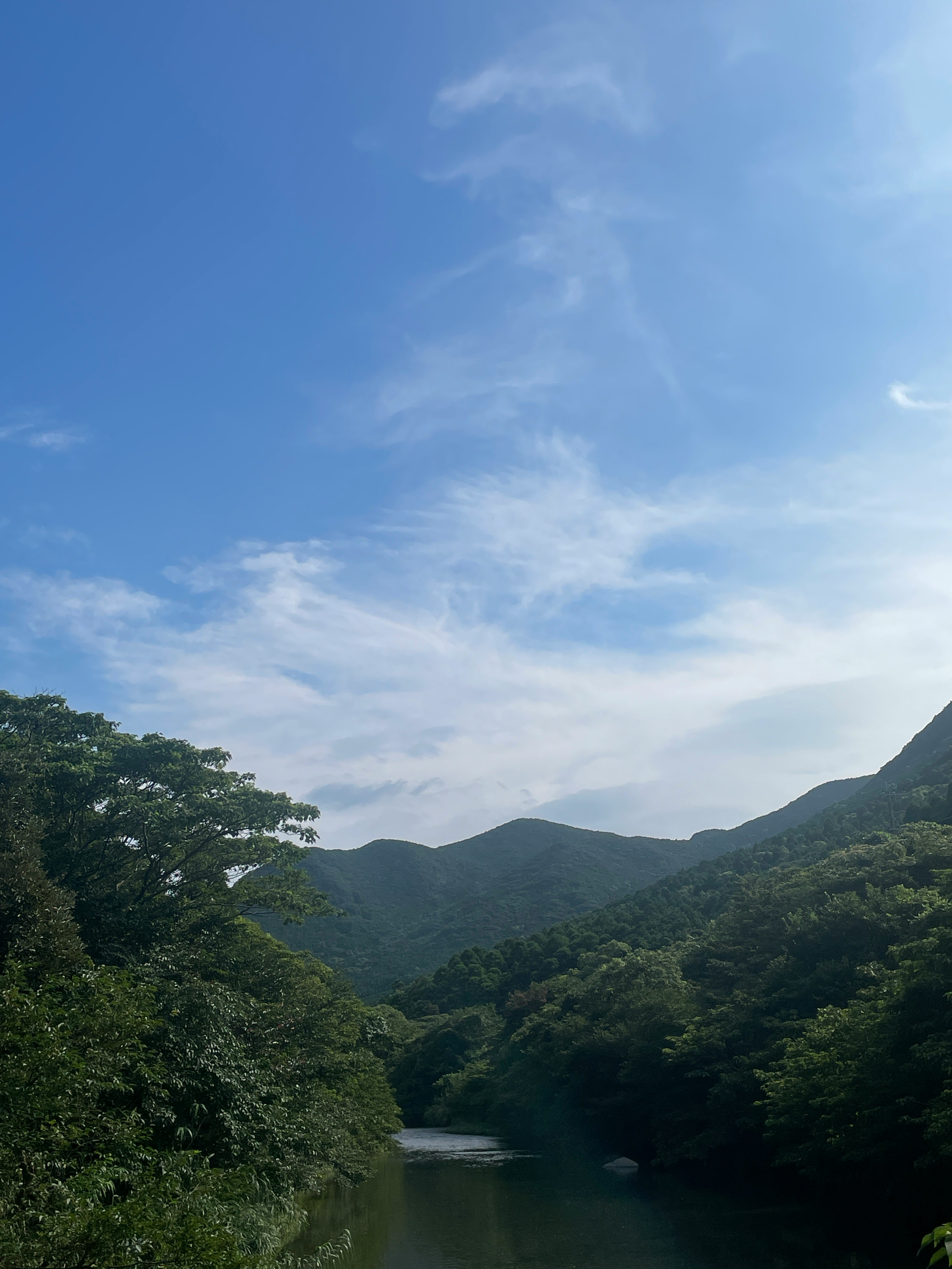 緑の山々と静かな川が流れる自然の景色