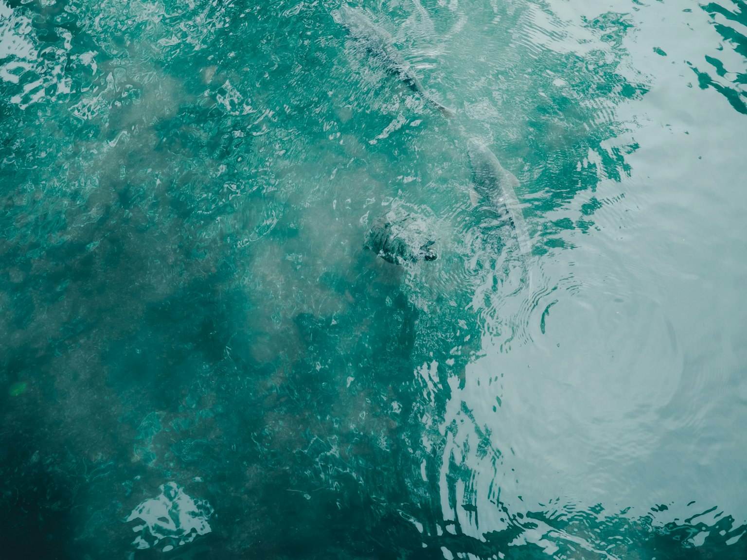 Superficie de agua turquesa ondulante con reflejos y sombras