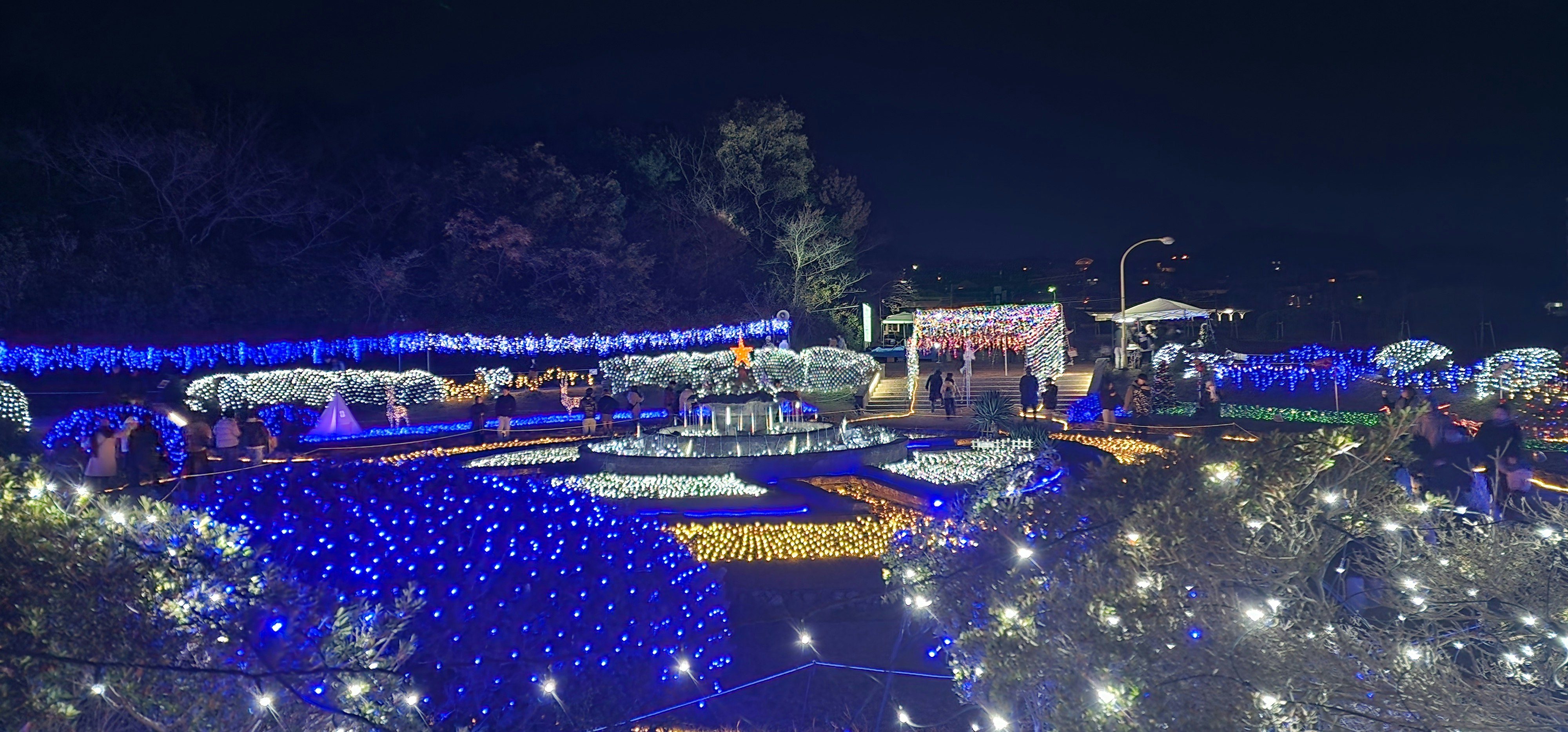 藍色燈帶點亮的花園夜景