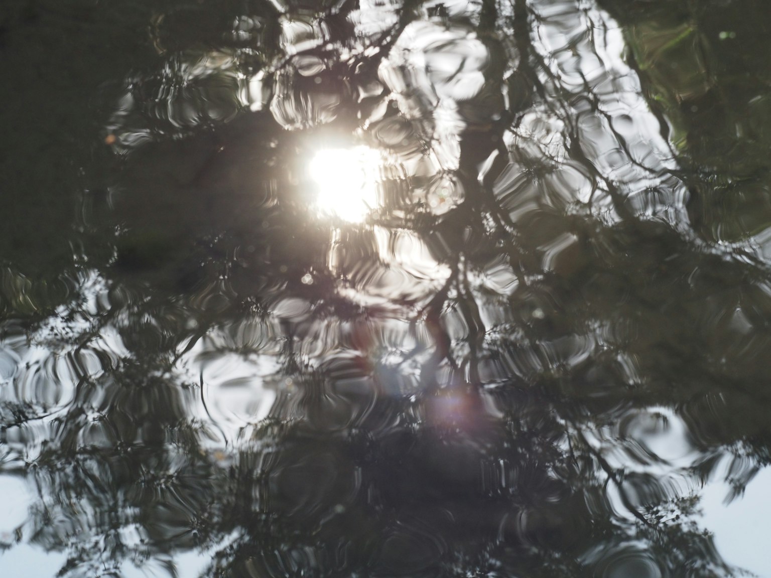 Sonnenlicht spiegelt sich auf der Wasseroberfläche mit Baum Schatten