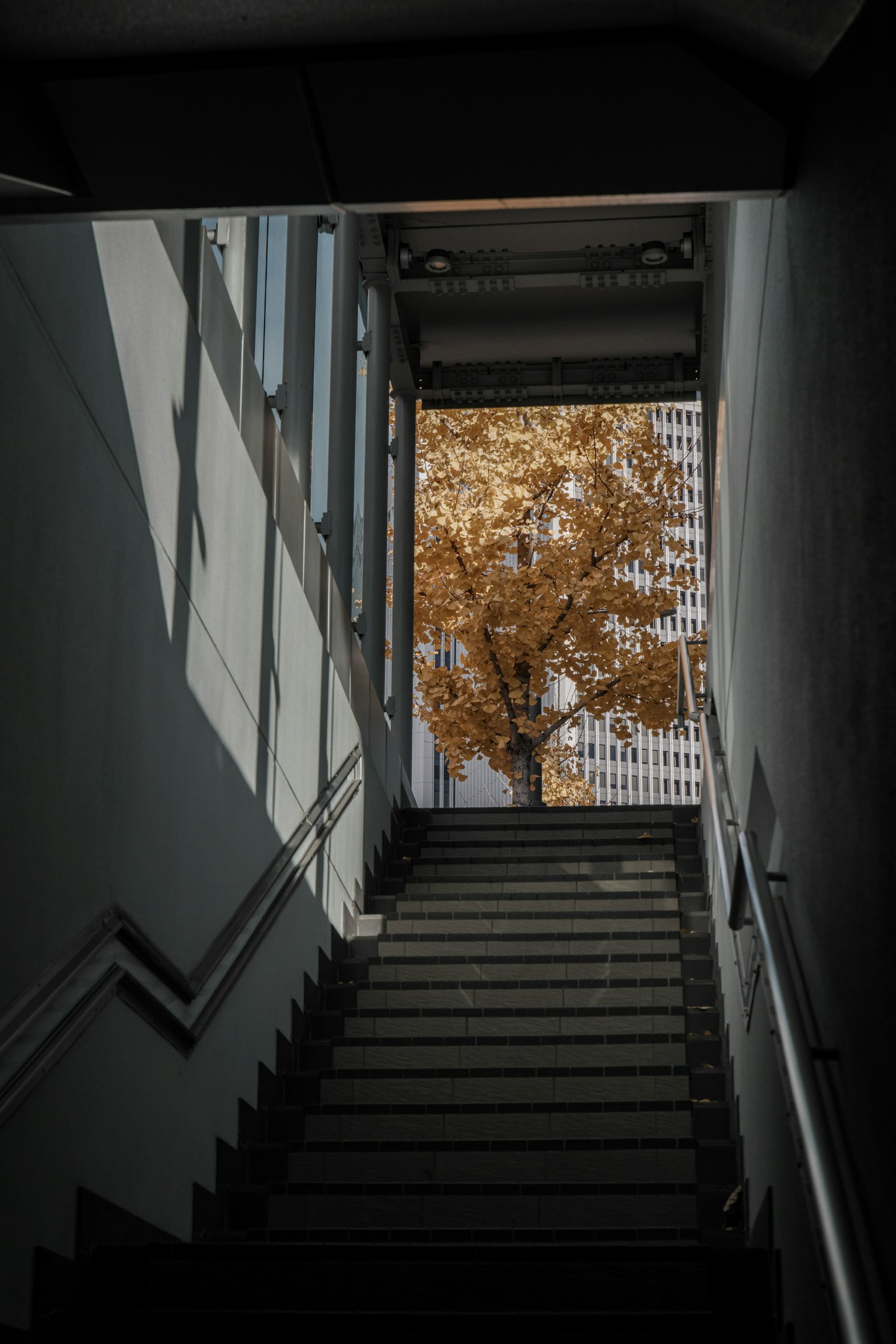 Scala che porta a una finestra luminosa con un albero autunnale all'esterno