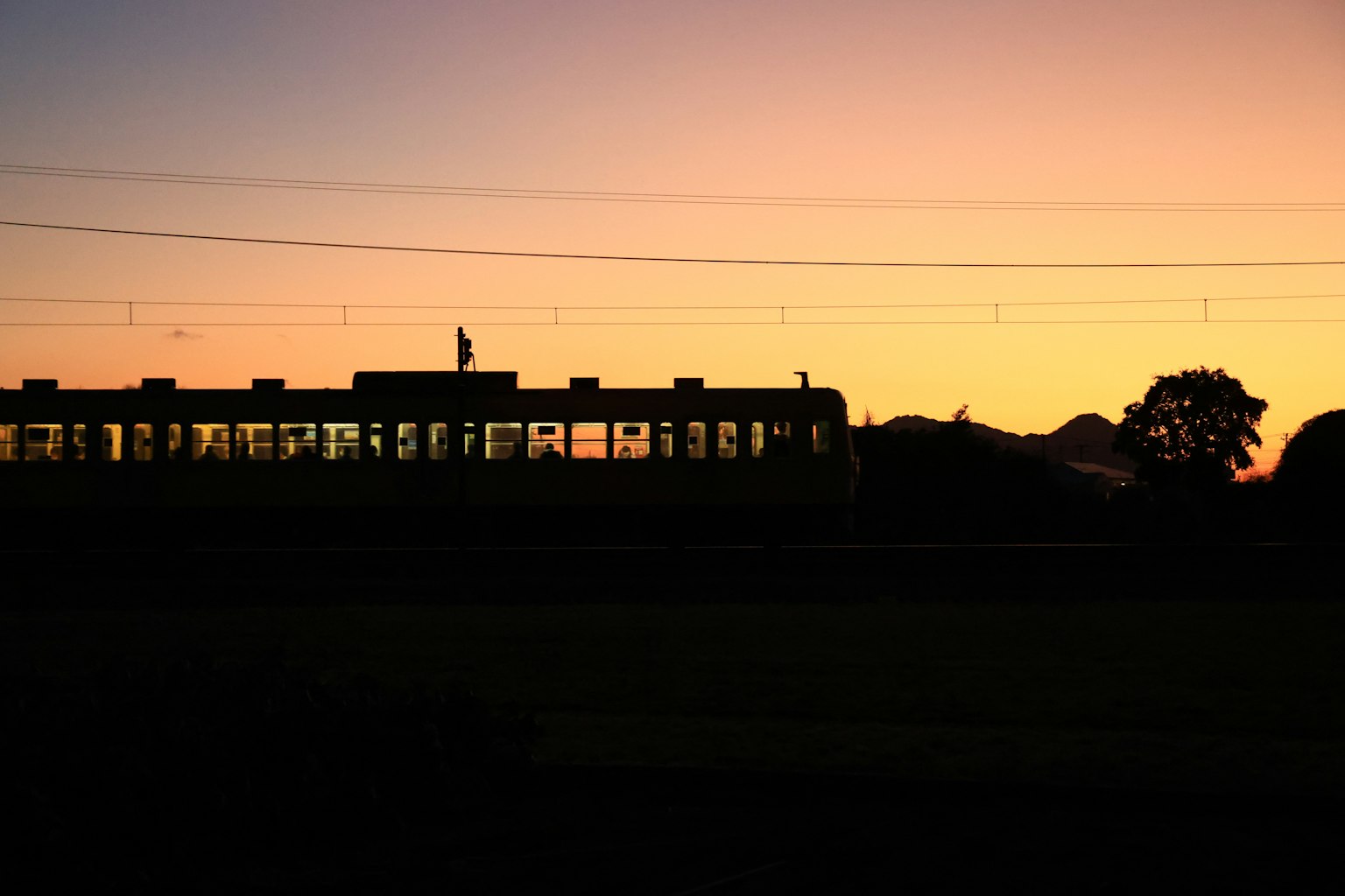 火车在生动的日落下的轮廓
