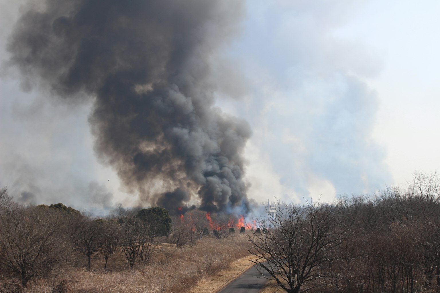 Landschaft eines Feuers mit aufsteigendem Rauch und trockenem Grasland