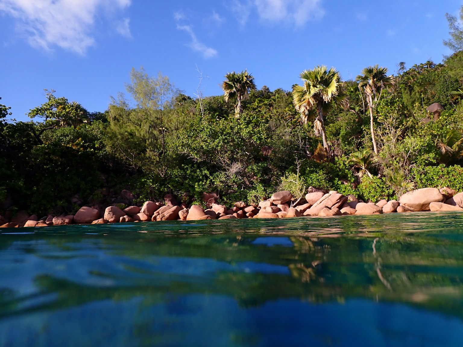 Vue panoramique de l'eau bleue claire reflétant la verdure luxuriante et les palmiers