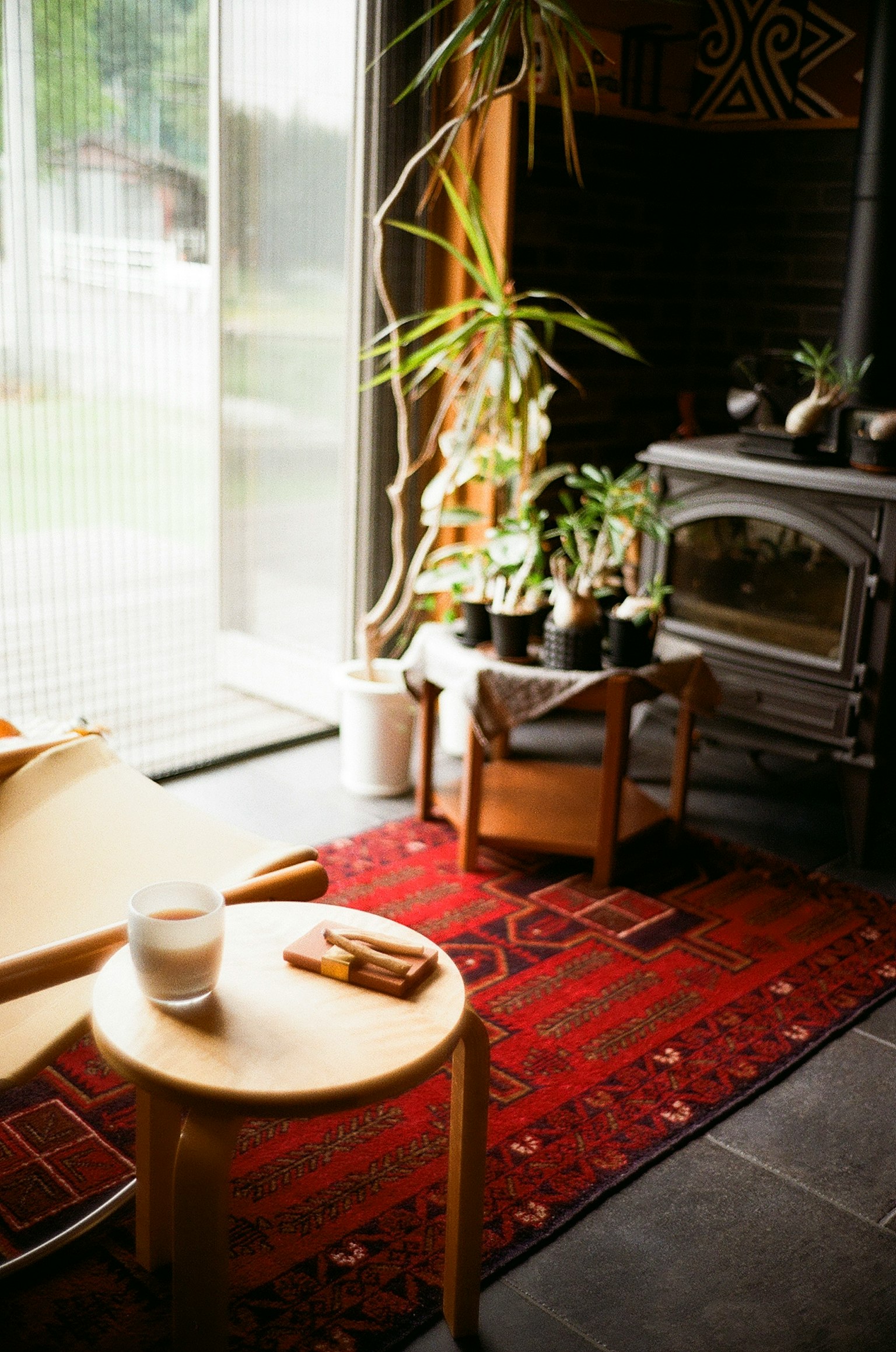 Rincón acogedor de una sala de estar con plantas y muebles de madera creando un ambiente cálido
