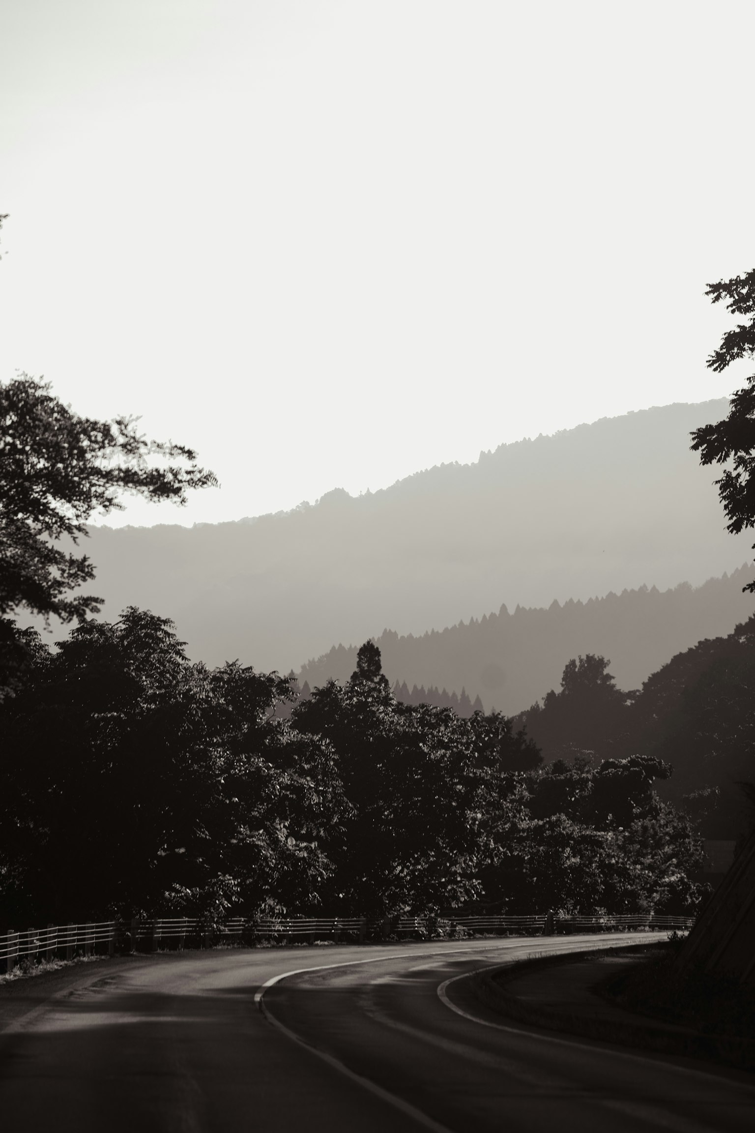 photo-A2yQiQ28Z7uszE4RzP5z-image