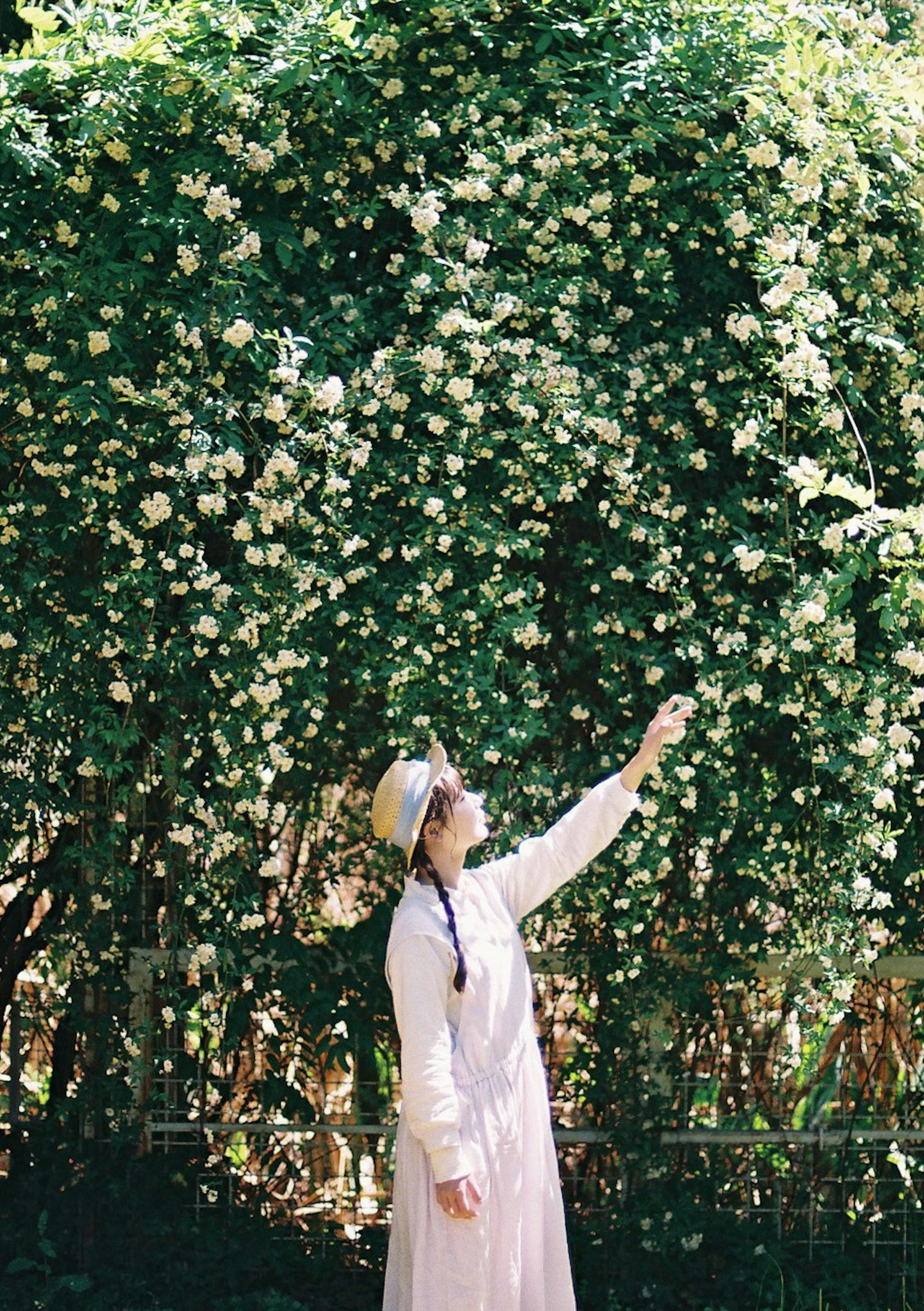 一位女性指着被绿植环绕的花朵