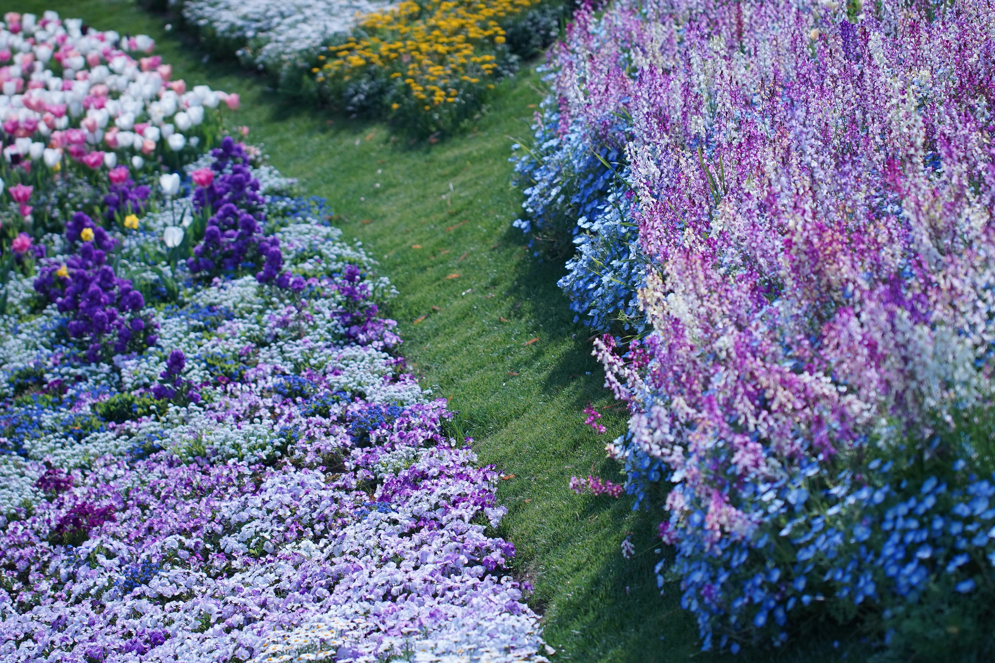 色とりどりの花が並ぶ庭の小道