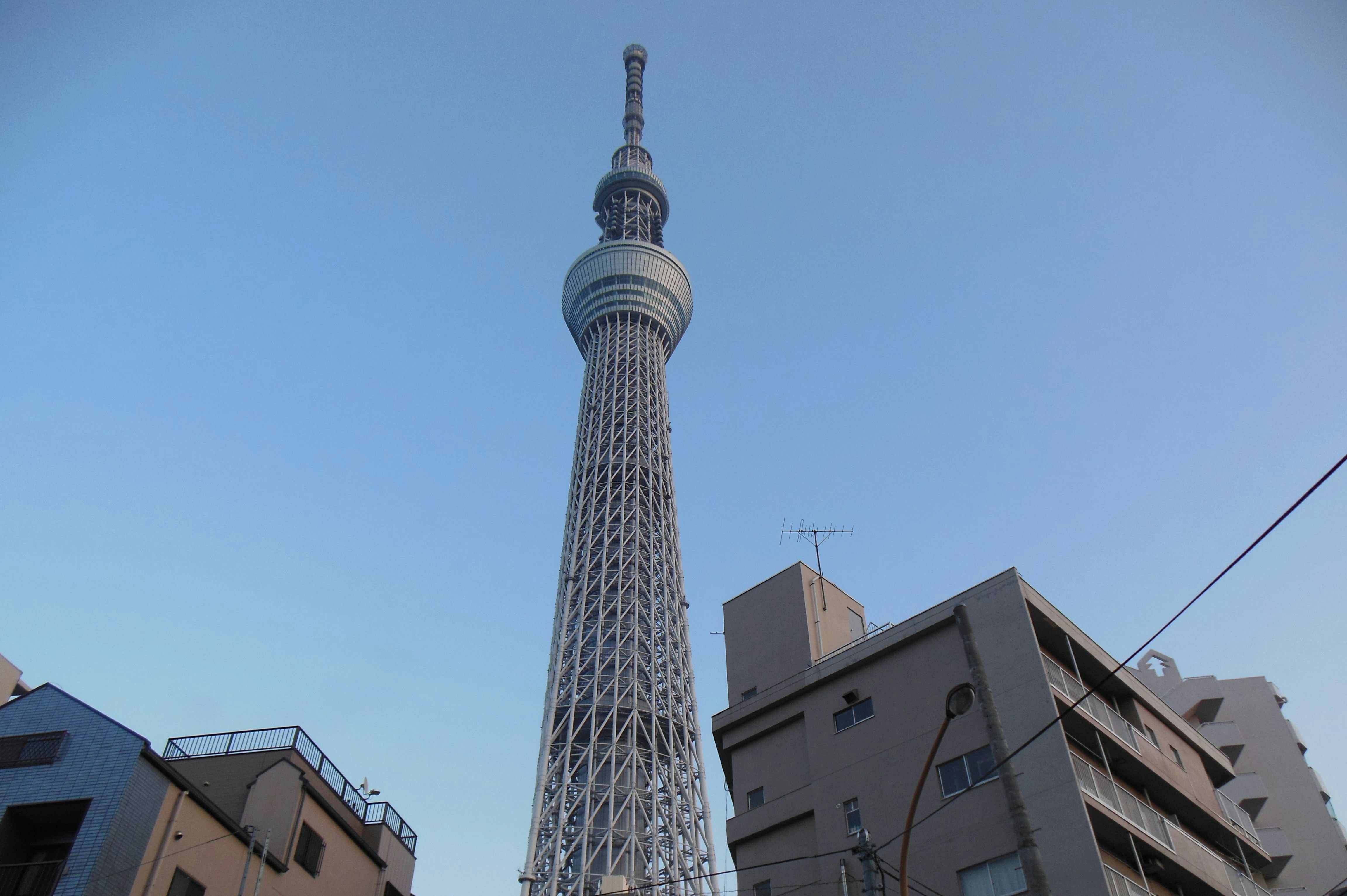 青空の下にそびえる東京スカイツリーと周辺の建物