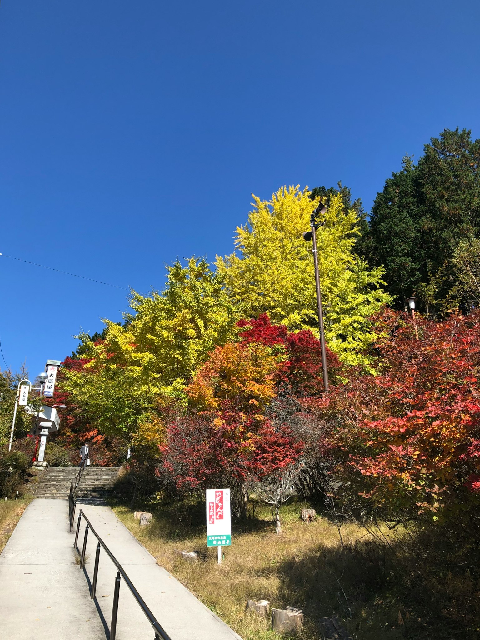 Vibrant autumn foliage against a clear blue sky