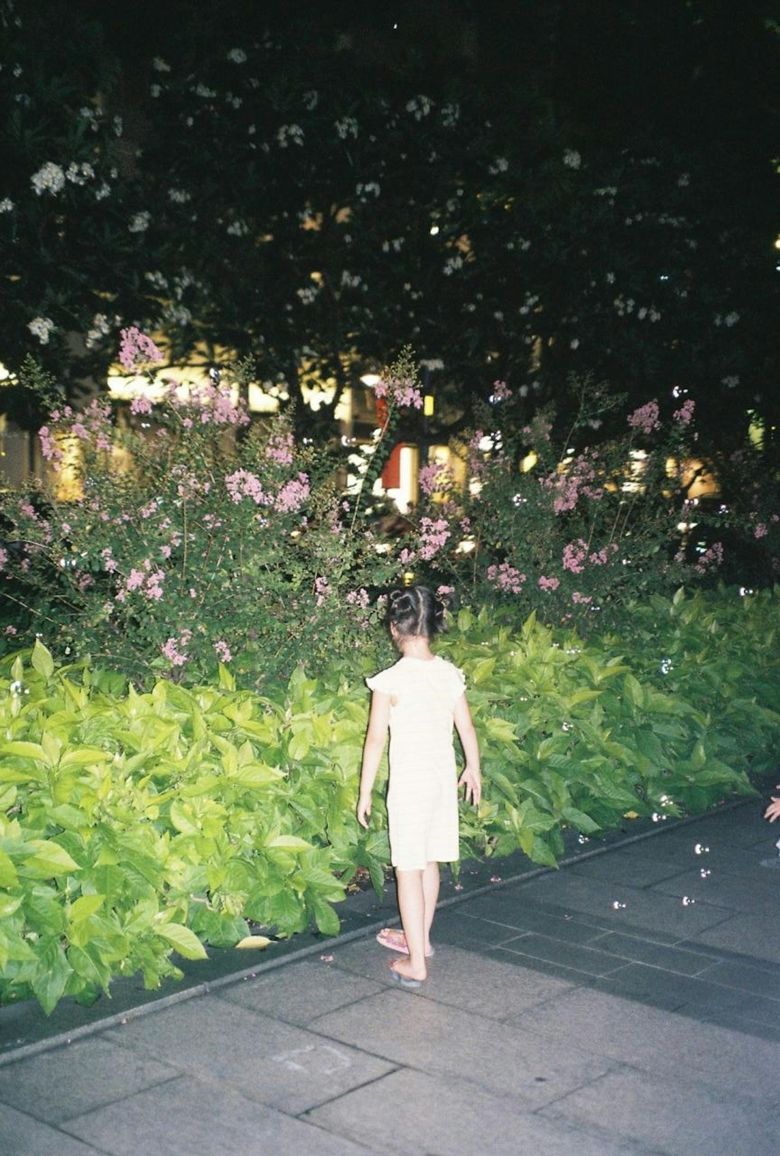 Un enfant marchant dans un parc entouré de fleurs la nuit