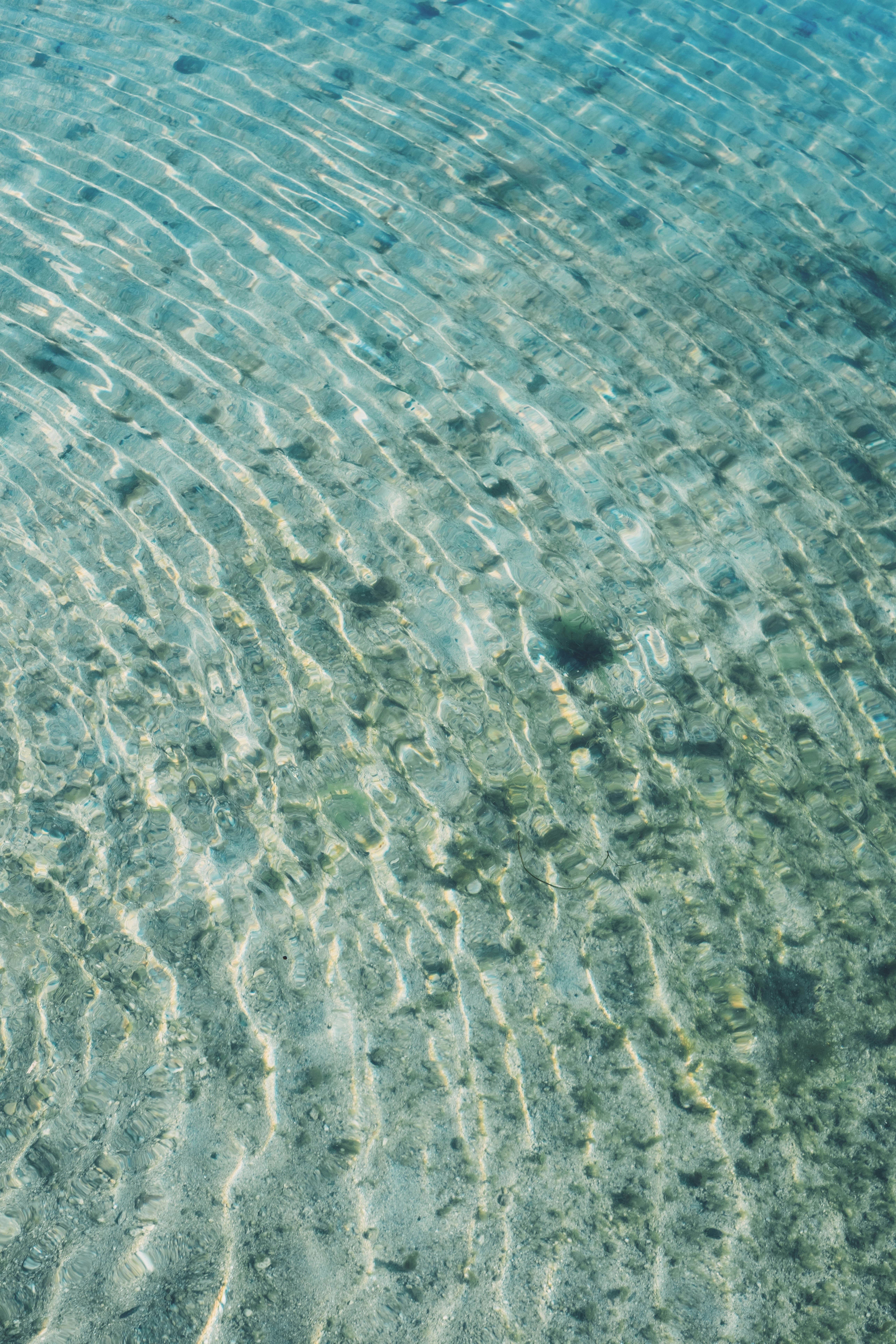 透明感のある海面に広がる波紋
