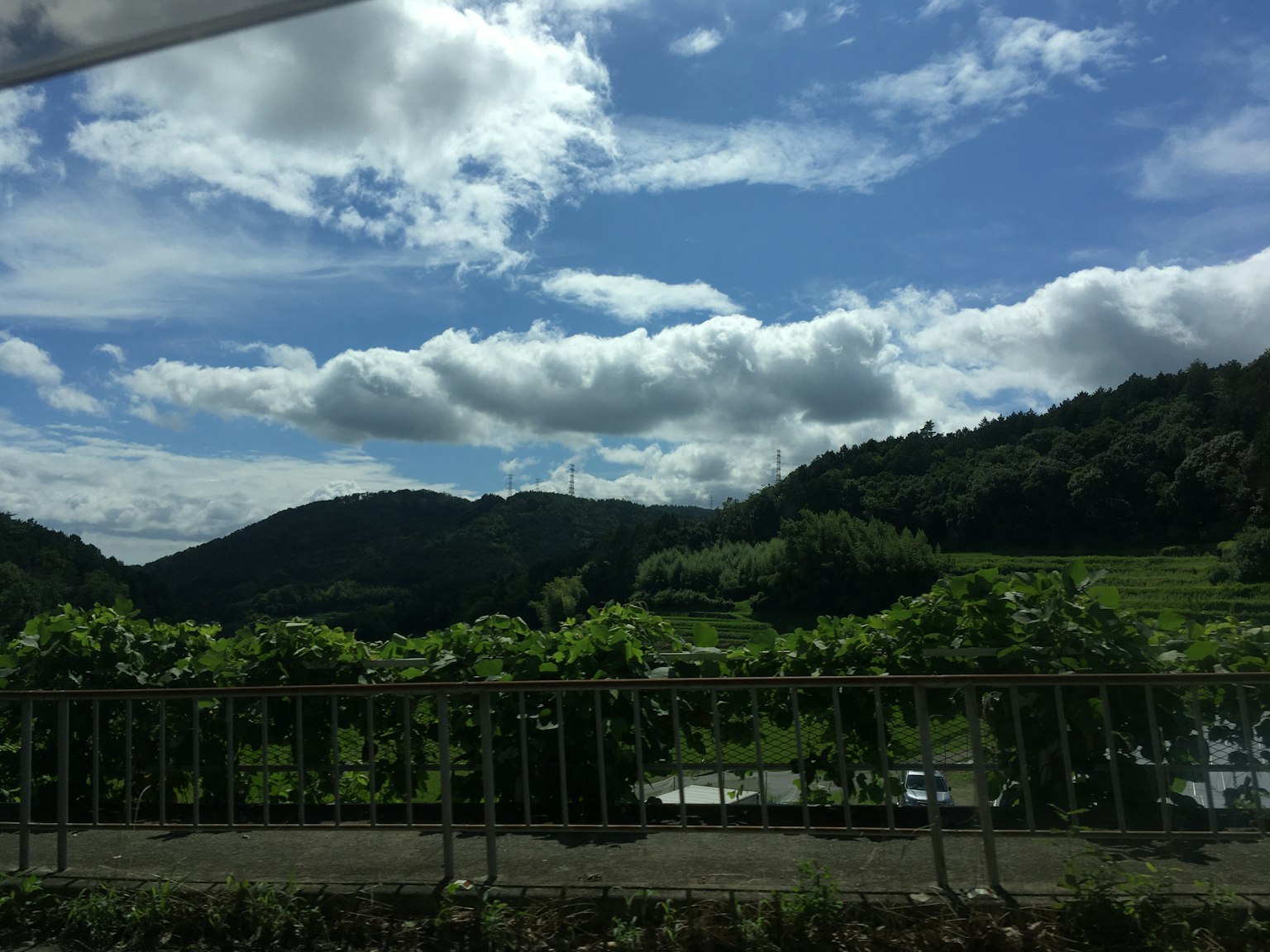 Scenic view of a blue sky with white clouds green hills and vineyards