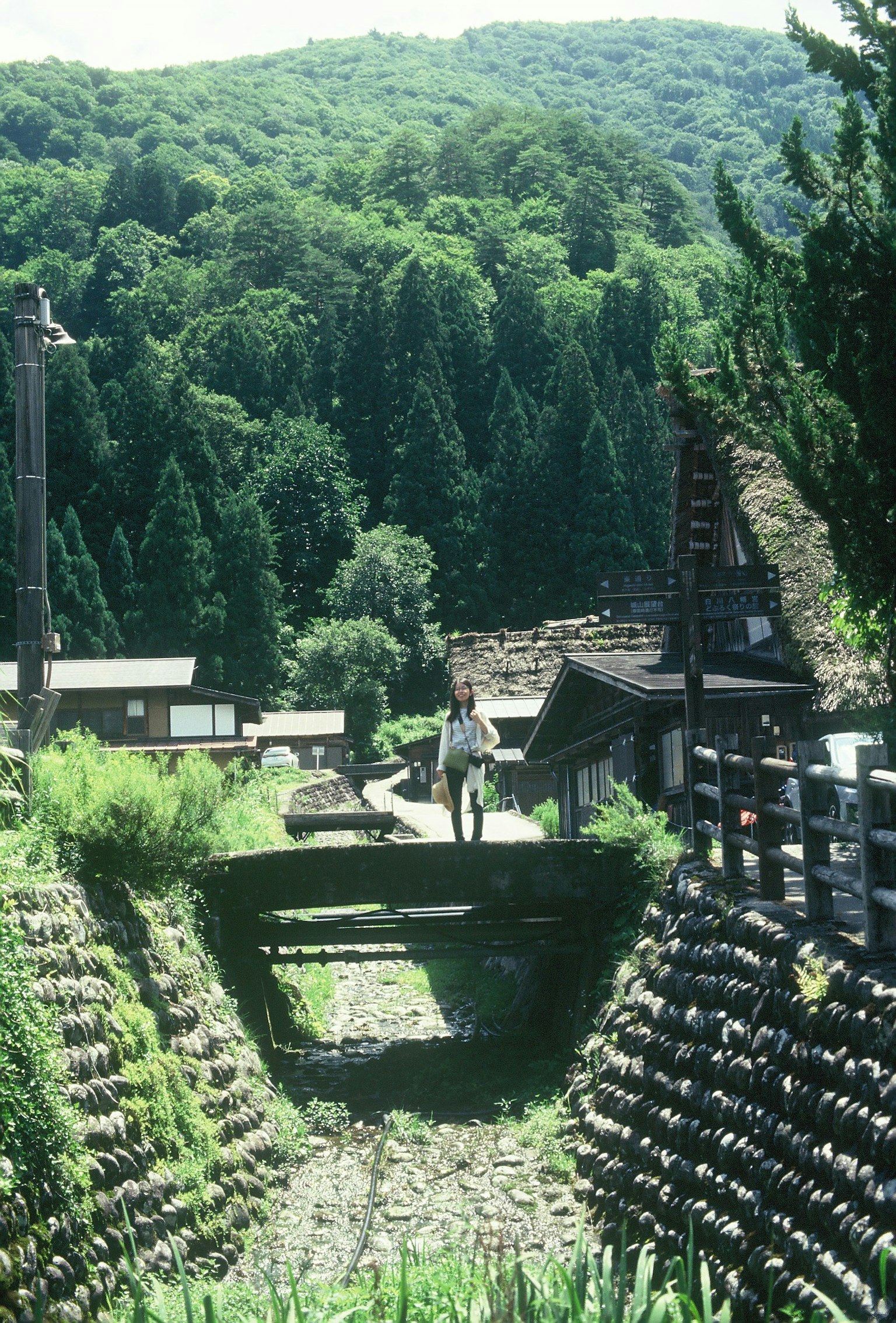 被郁郁葱葱的森林環繞的村莊風景和小路