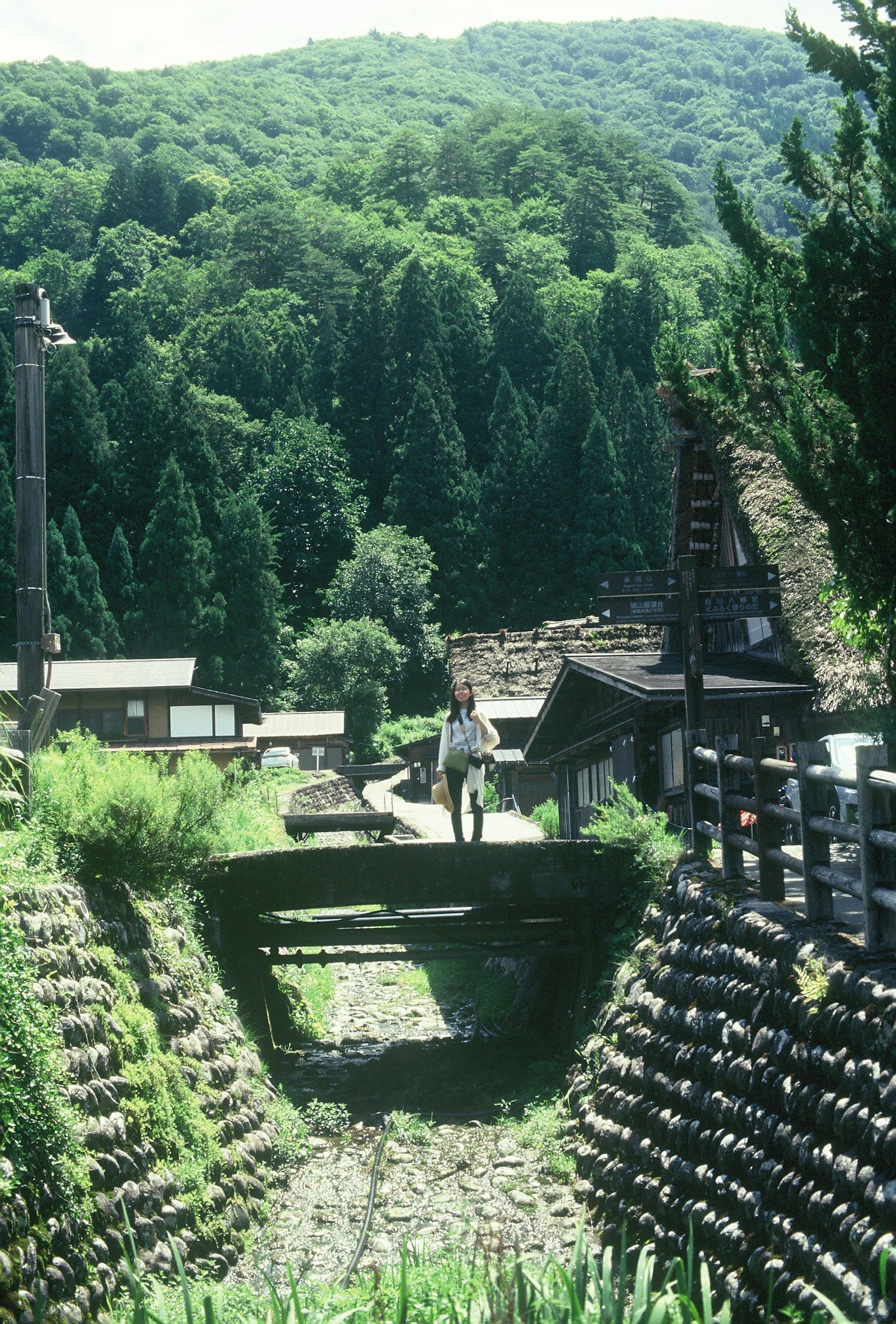 Village landscape surrounded by lush green forest with a pathway