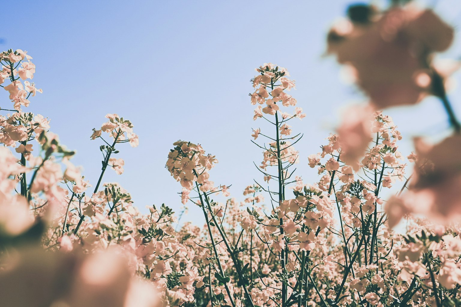 photo-A6jqdICOpP9KdrNNn7P5-image