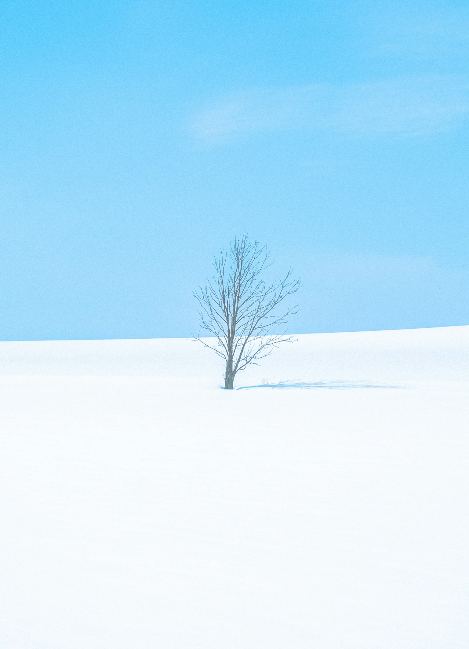 photo-A6oT7XNq6wdrVIzRiLLw-image