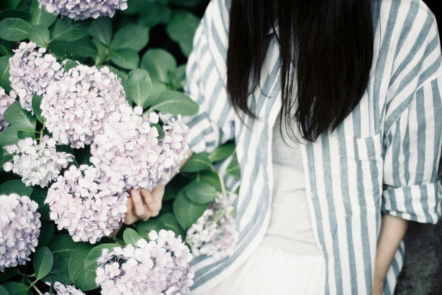 穿著條紋襯衫的女人拿著紫色花朵