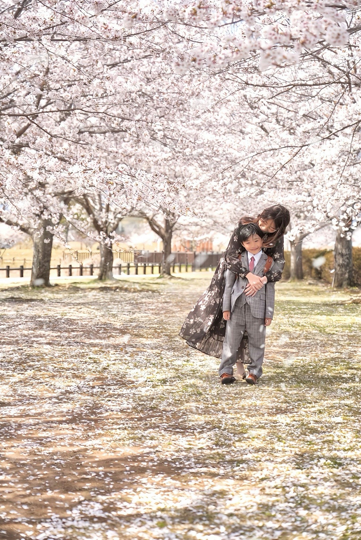 Pasangan berpelukan di bawah pohon sakura