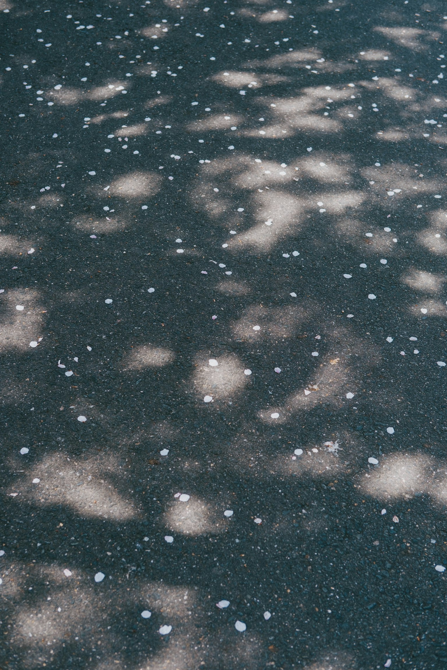 Surface sombre avec des taches de lumière dispersées créant un motif texturé