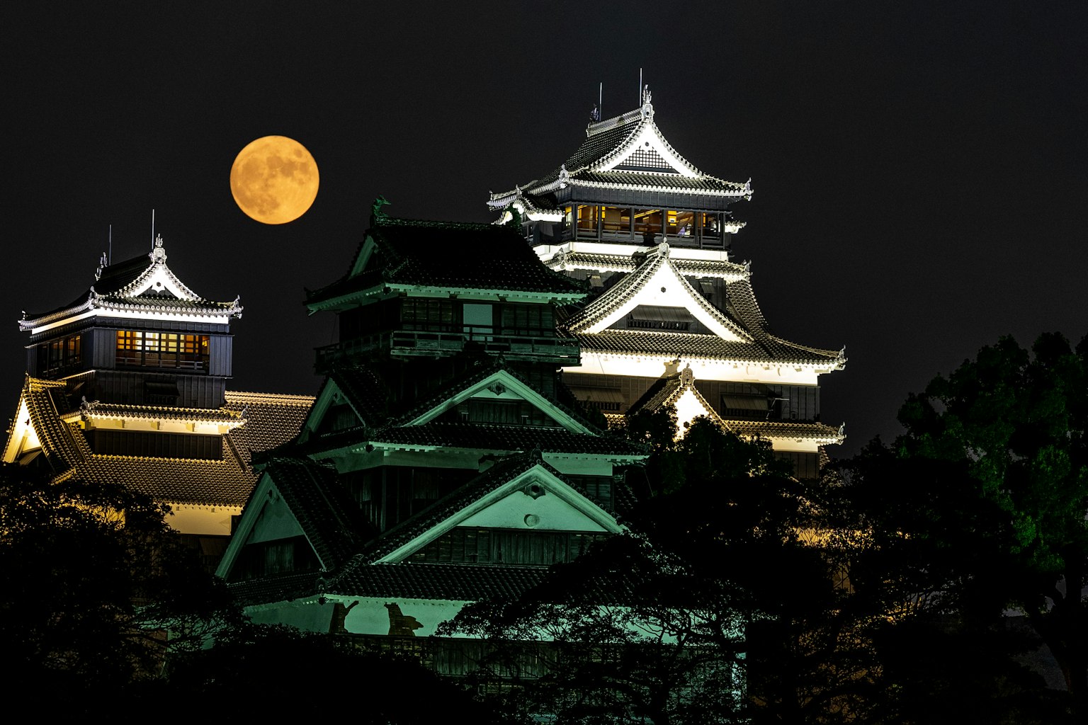 Bellissima scena notturna di un castello con una luna piena