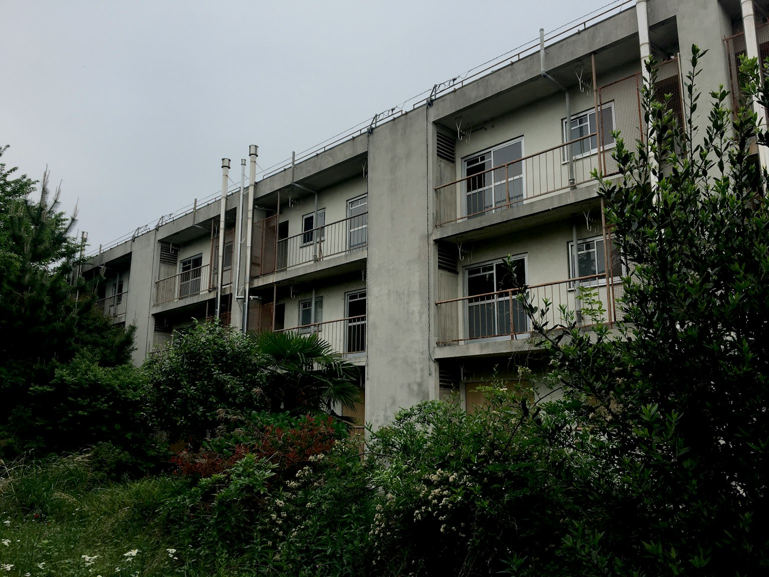 Bangunan apartemen beton tua dikelilingi oleh vegetasi