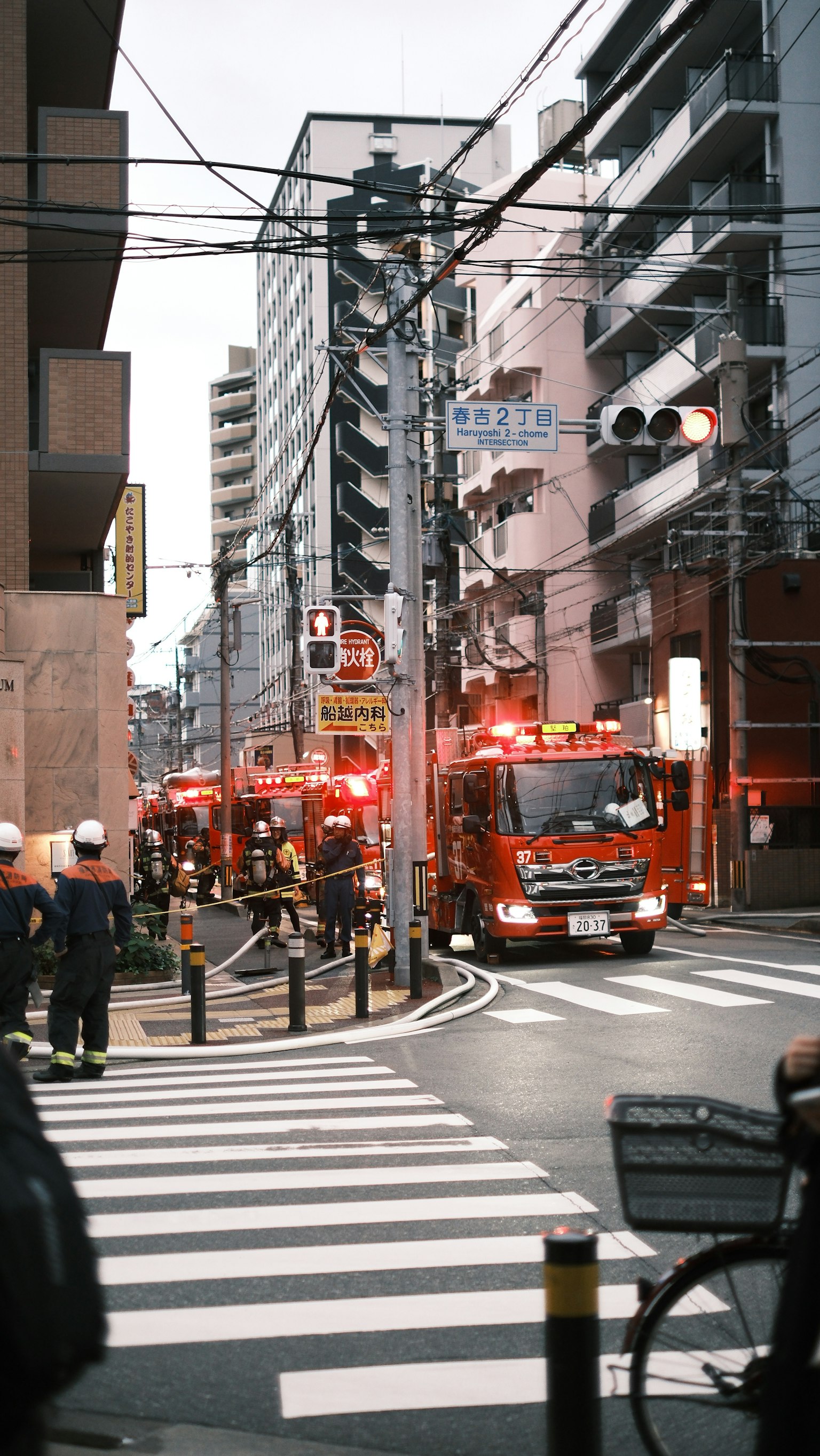 photo-ABASSwZ3KLvJjT6RQwnf-image