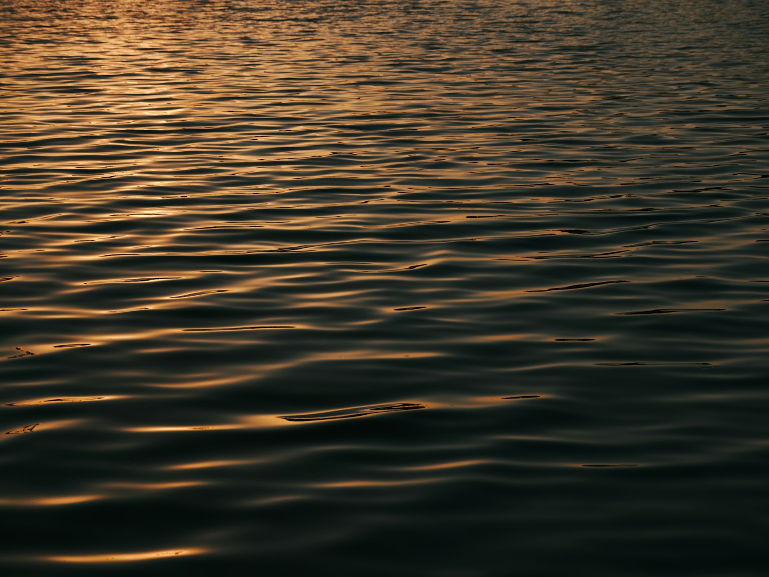 photo-ABCTG1r4lD5Uxp5HMtes-image
