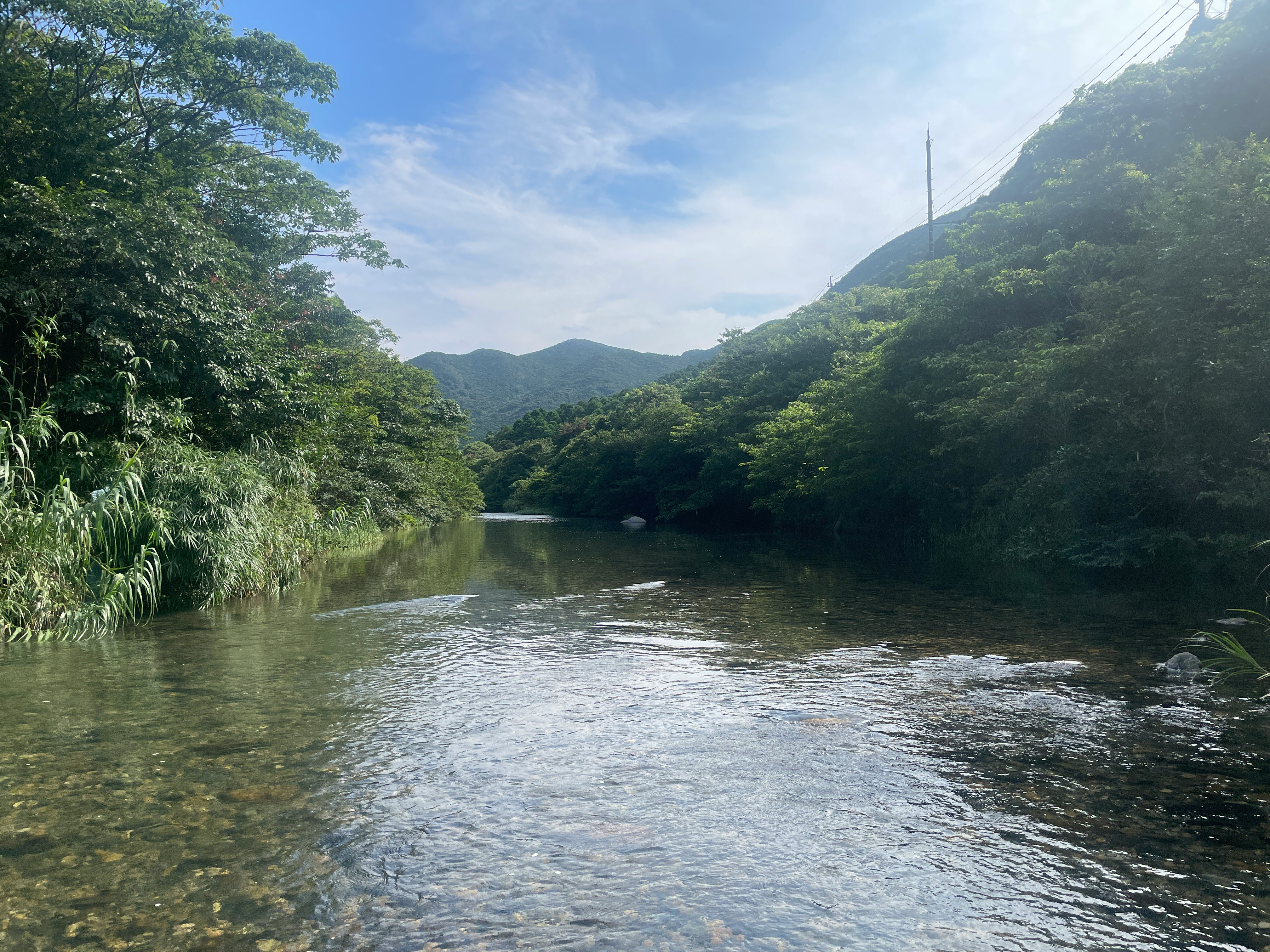 川と緑に囲まれた渓谷の穏やかな流れ