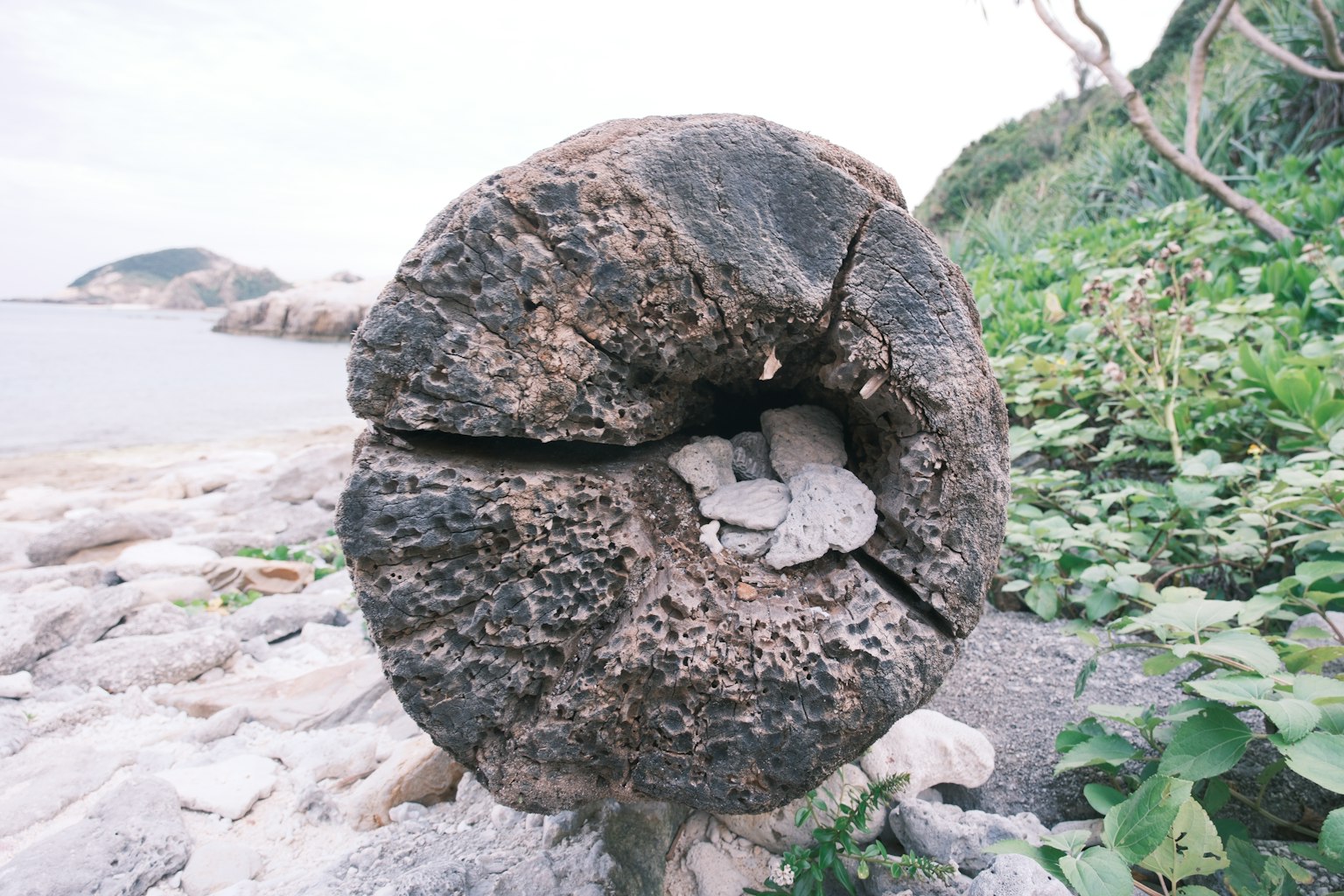海滩上一个大树桩有一个洞