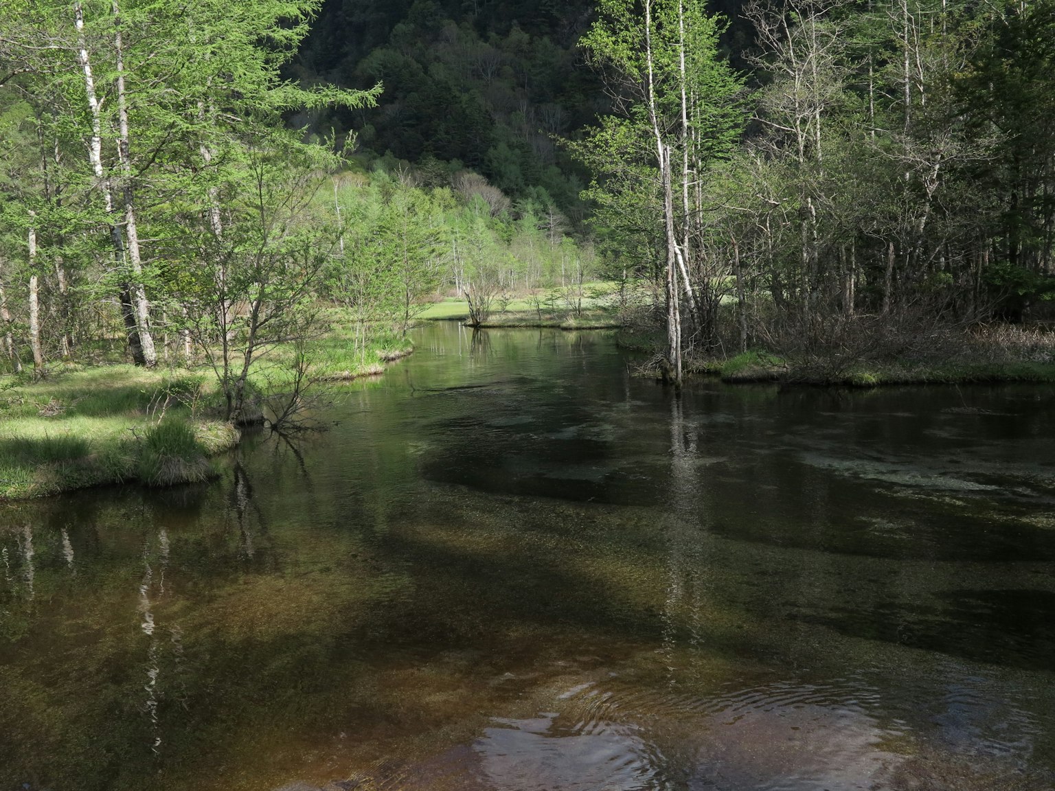 Serene river with reflections of green trees