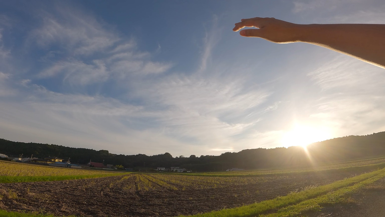 Une main tendue devant un vaste champ et un coucher de soleil