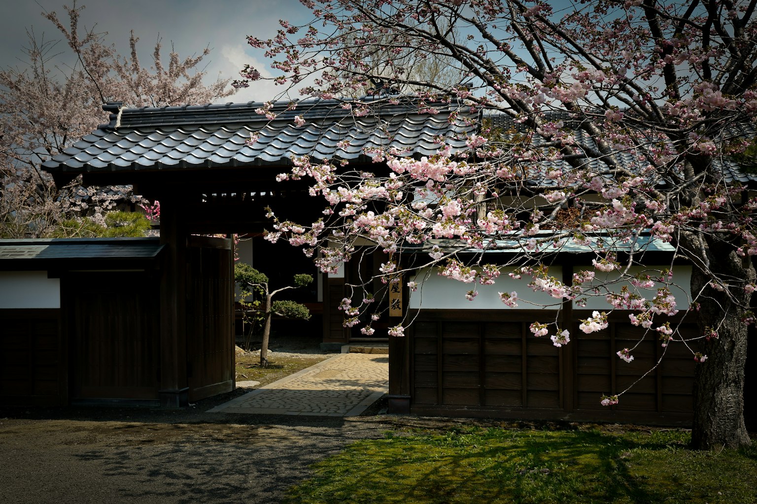 Porte d'un bâtiment traditionnel japonais avec des cerisiers en fleurs