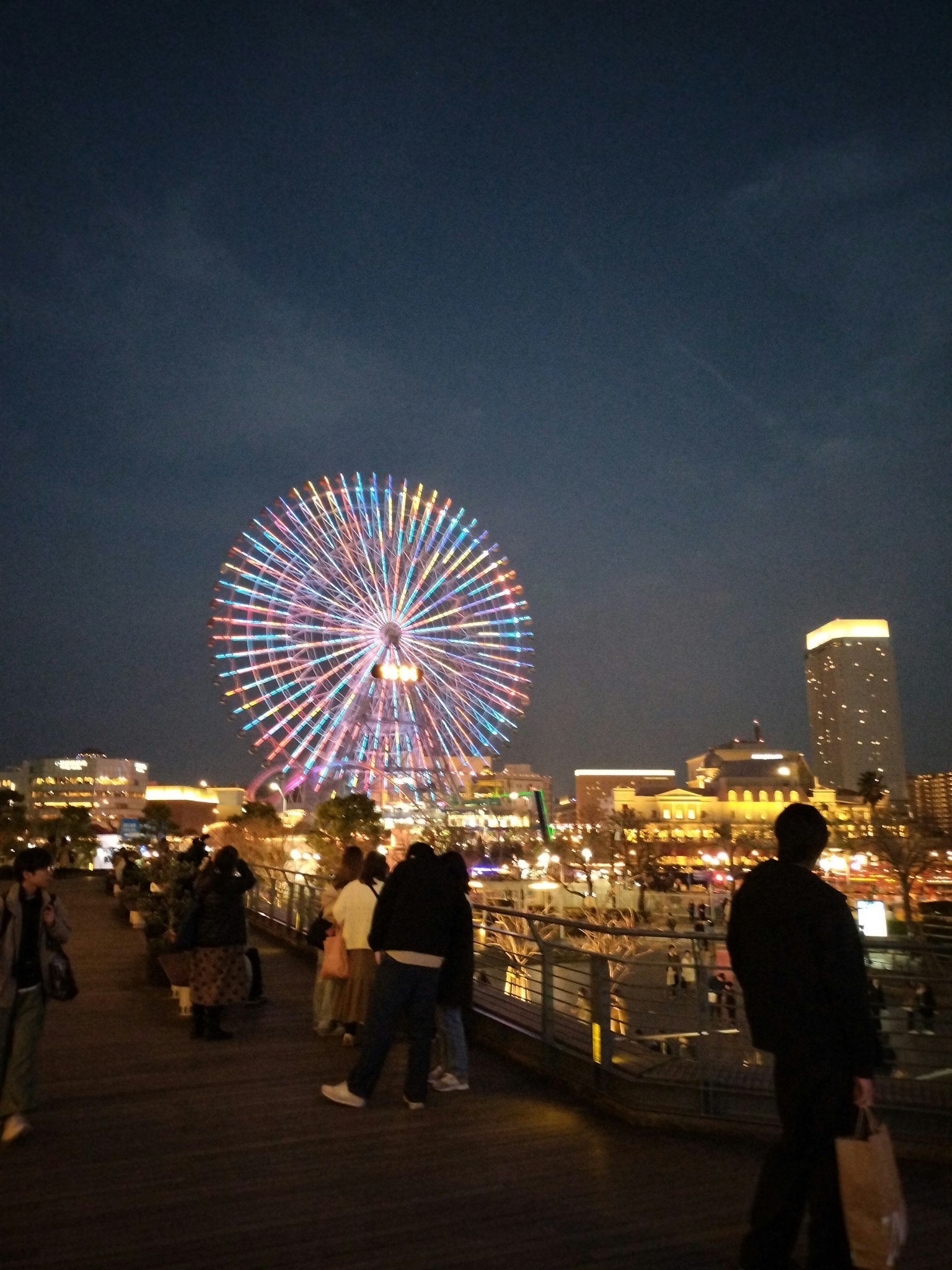 Ruota panoramica colorata di notte con persone che godono della vista
