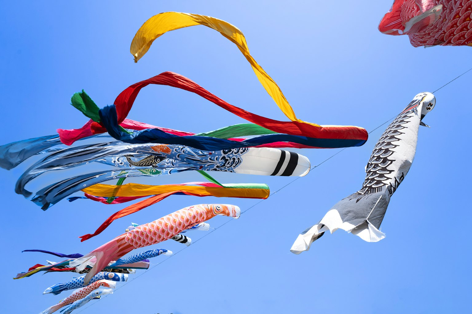 Drapeaux koi colorés et rubans flottant dans le ciel bleu
