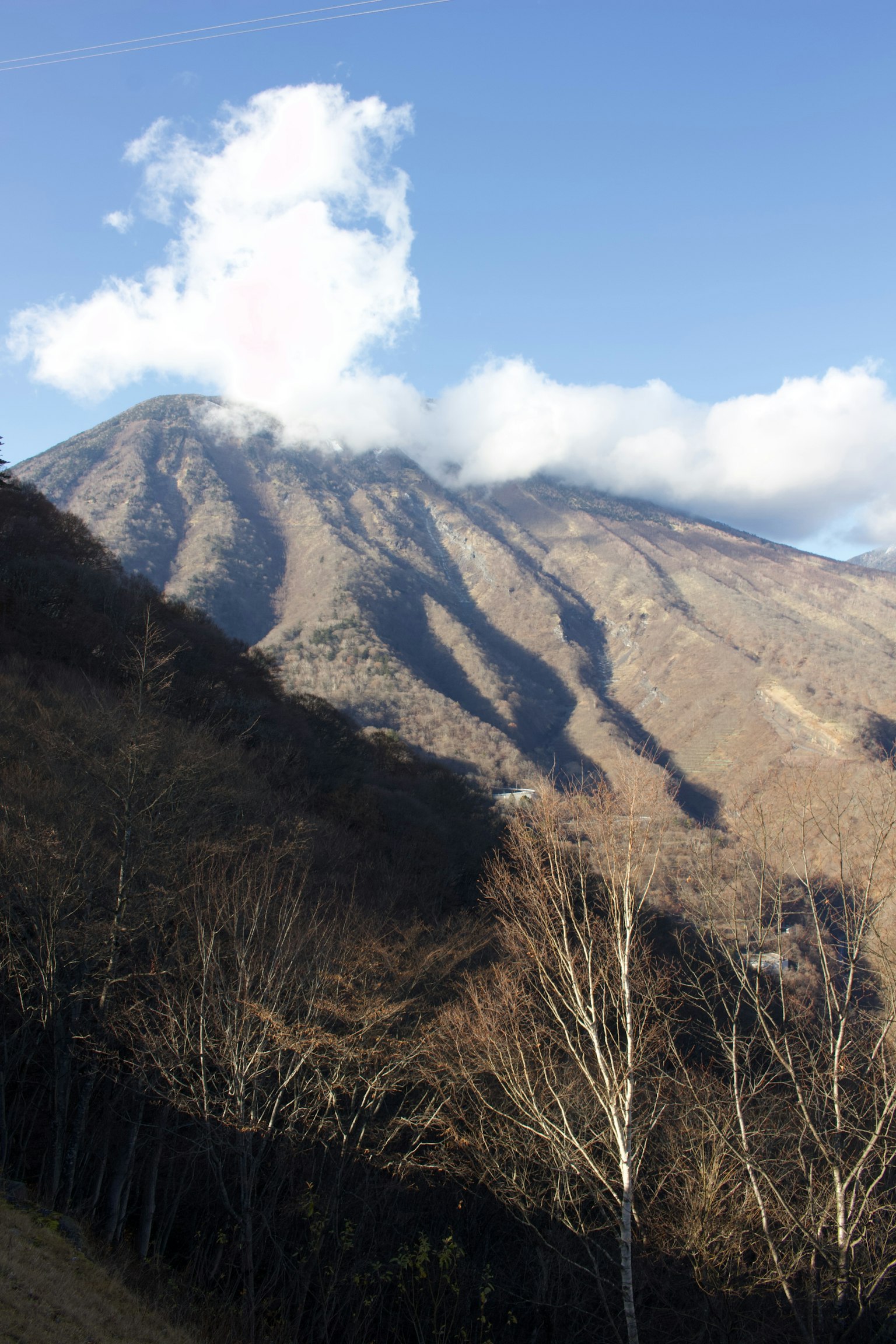 Mountain landscape with trees on the slopes and clouds in a blue sky