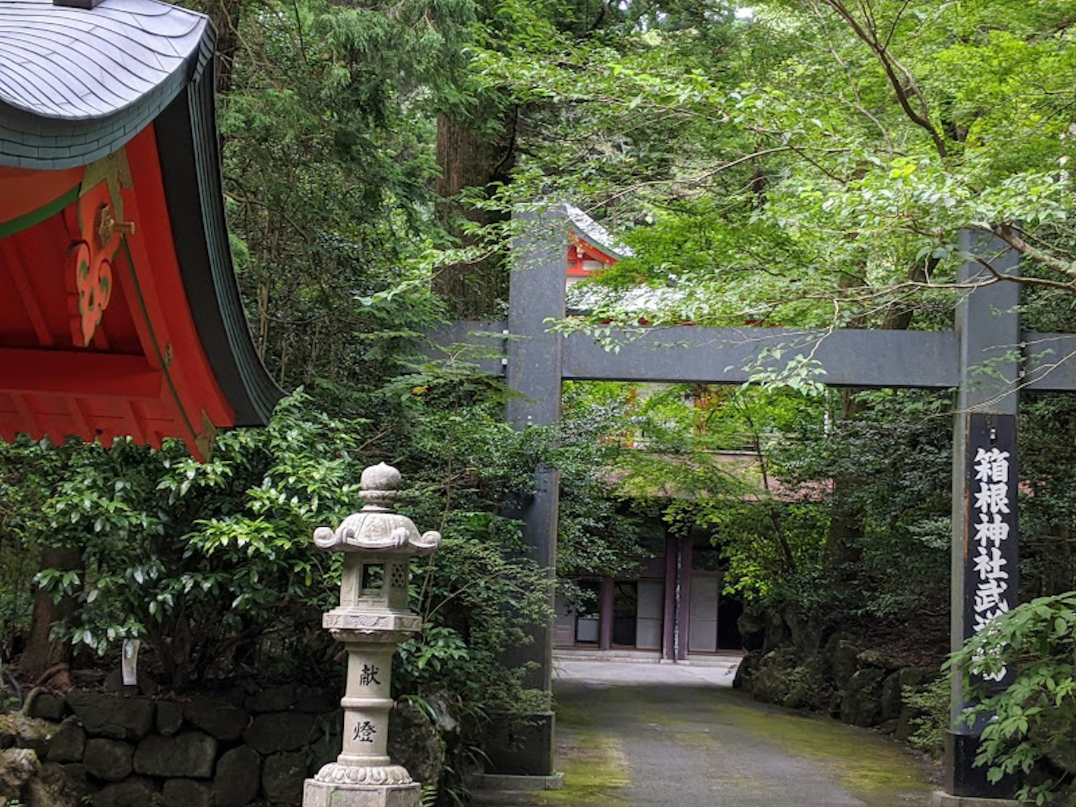 被郁郁葱葱的植物环绕的神社入口和石灯笼