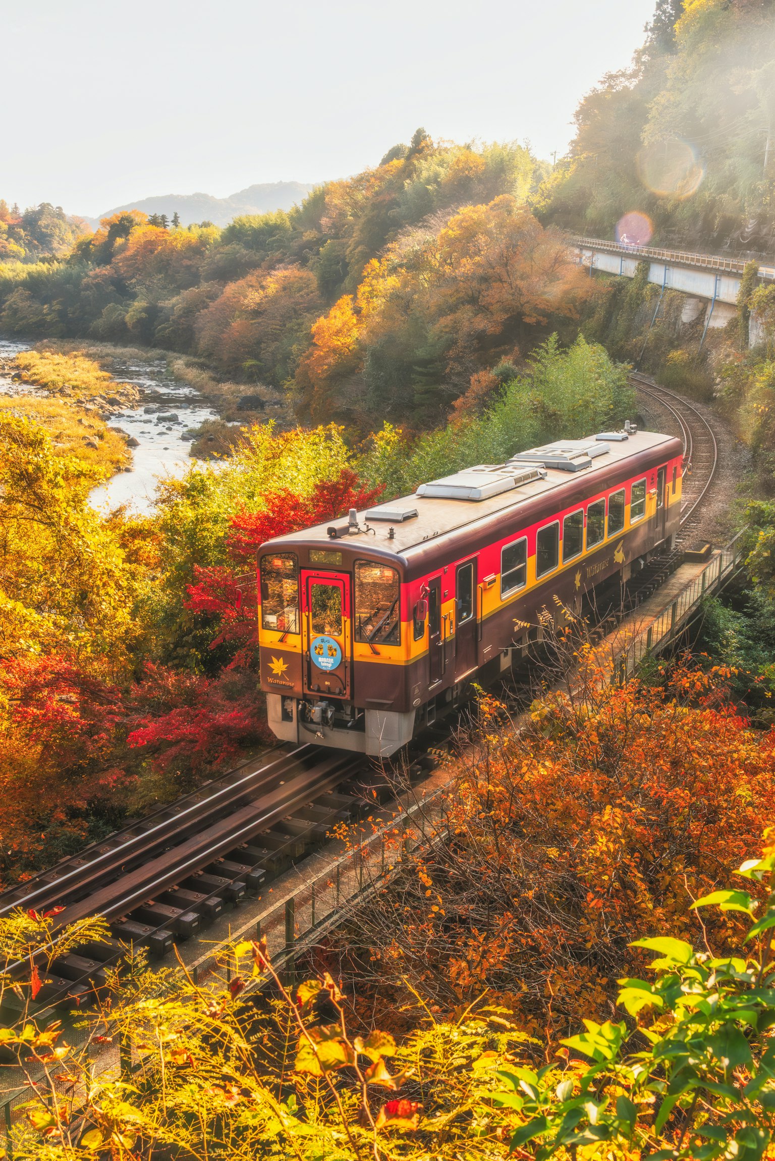 photo-ADzxZ31pxS2G7oUmItVm-image